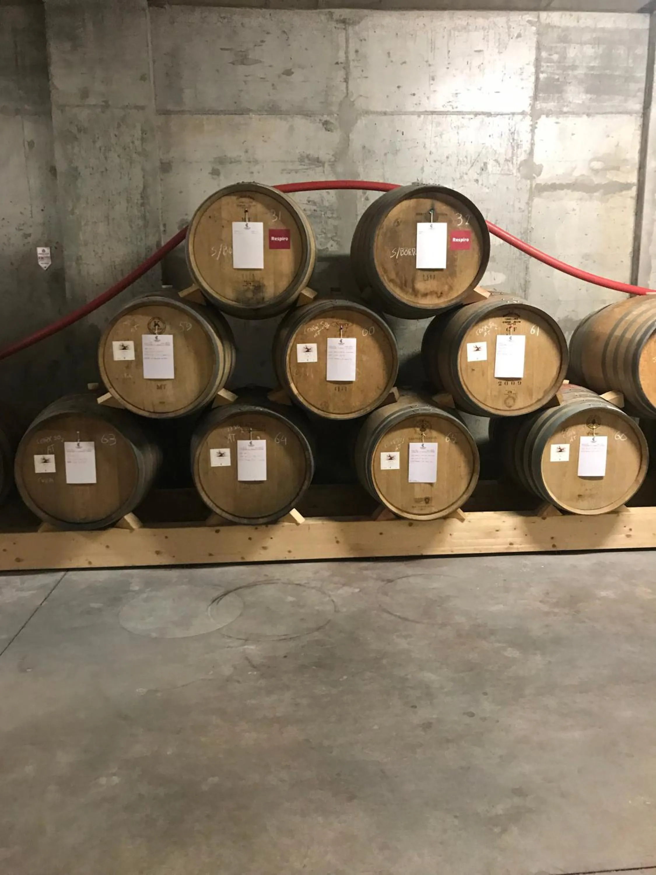 Food and drinks in Cabecas do Reguengo