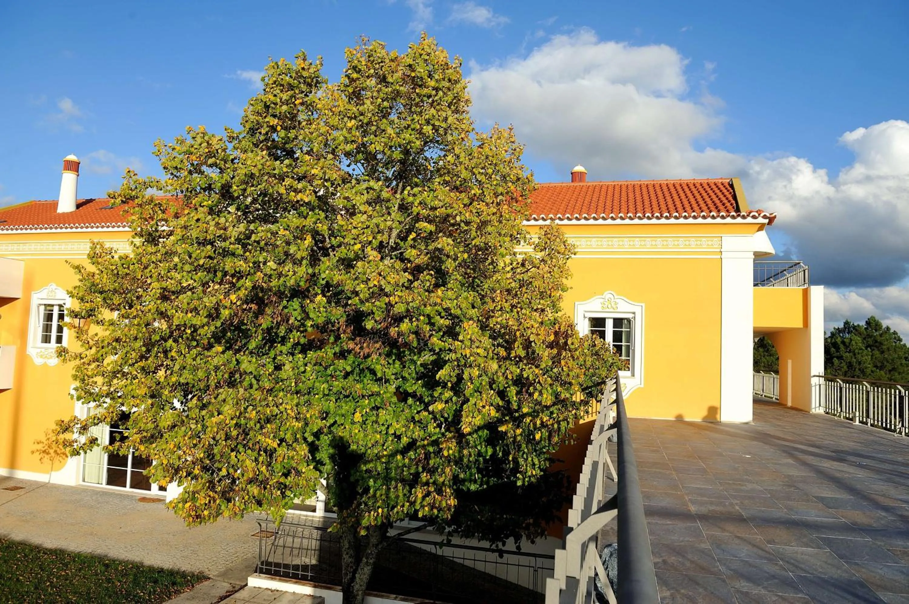 Balcony/Terrace in Cabecas do Reguengo