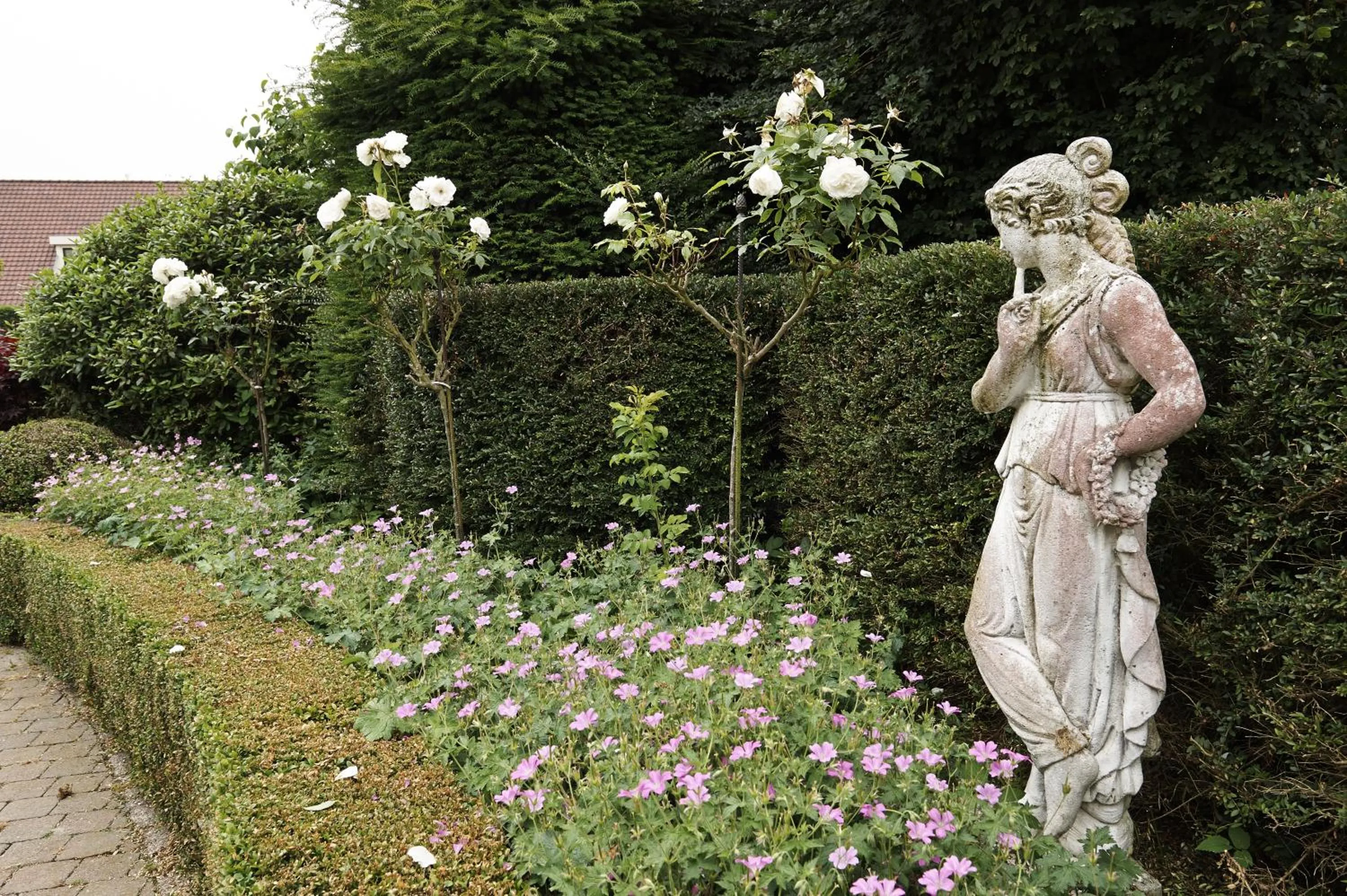 Natural landscape in Villa Magnolia