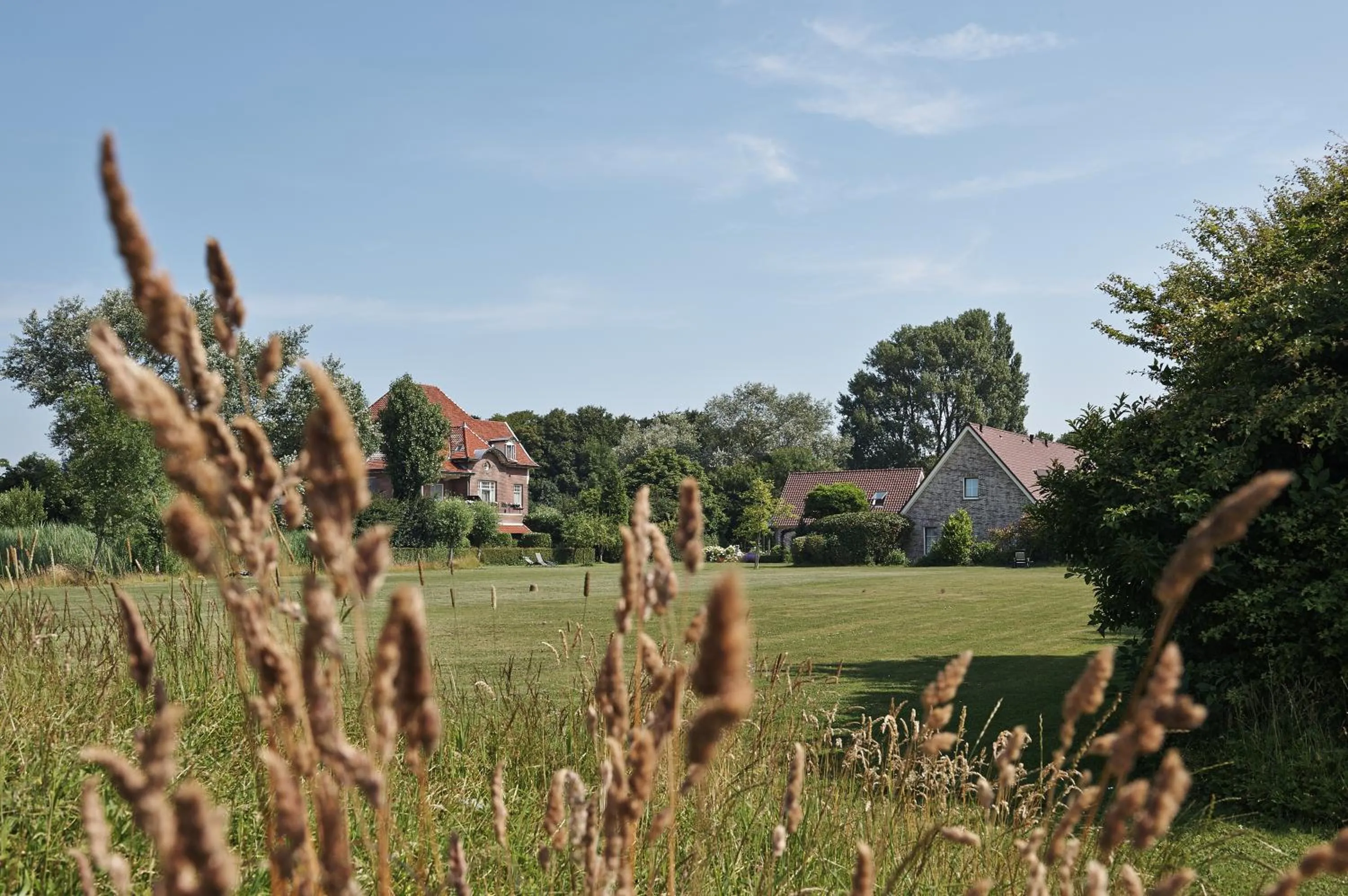 Garden in Villa Magnolia