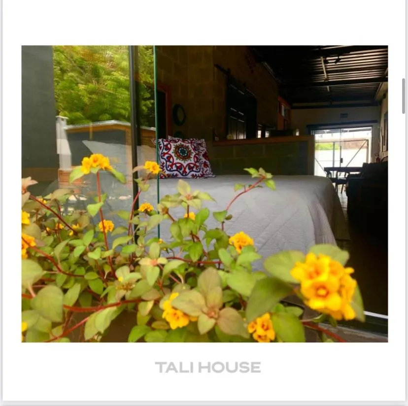 Garden view in TALI HOUSE - Casa Hotel