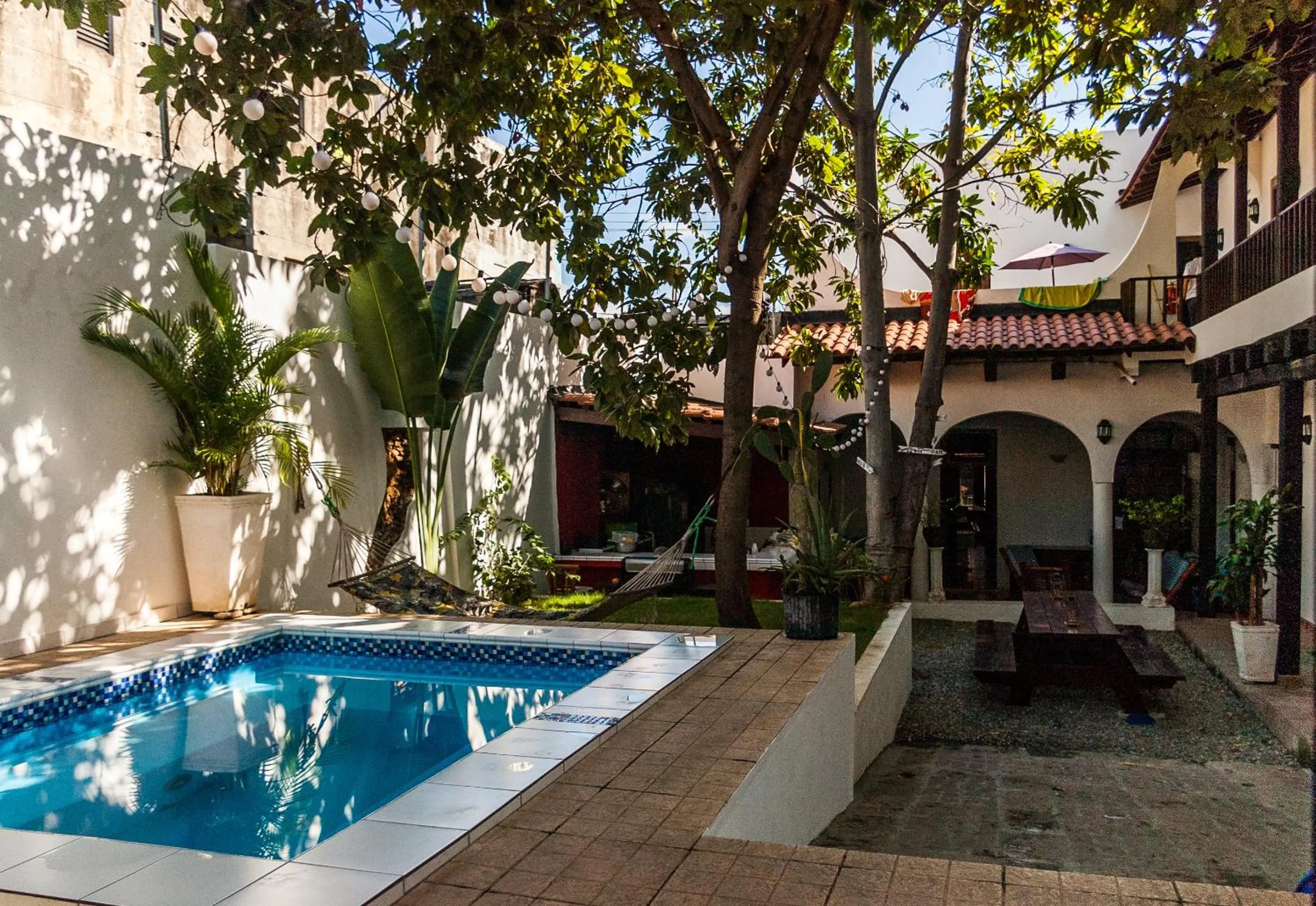 Garden in Island Life Hostel