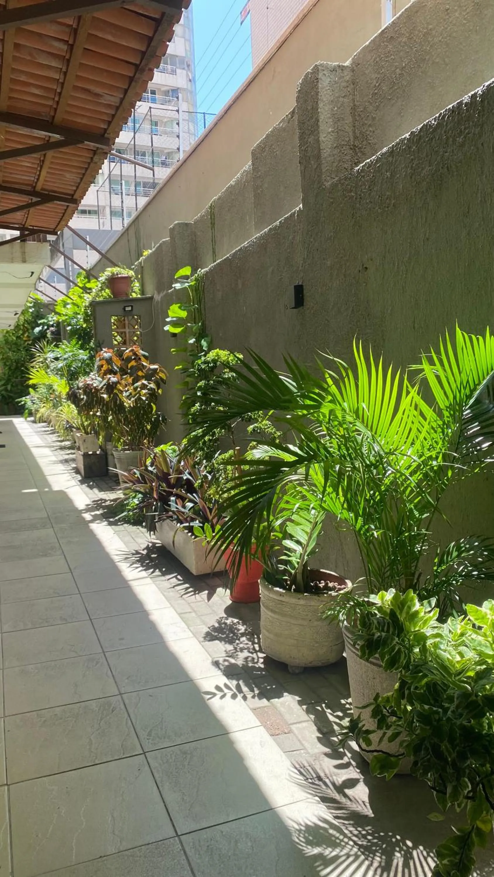 Garden view in Ocean Praia Hotel