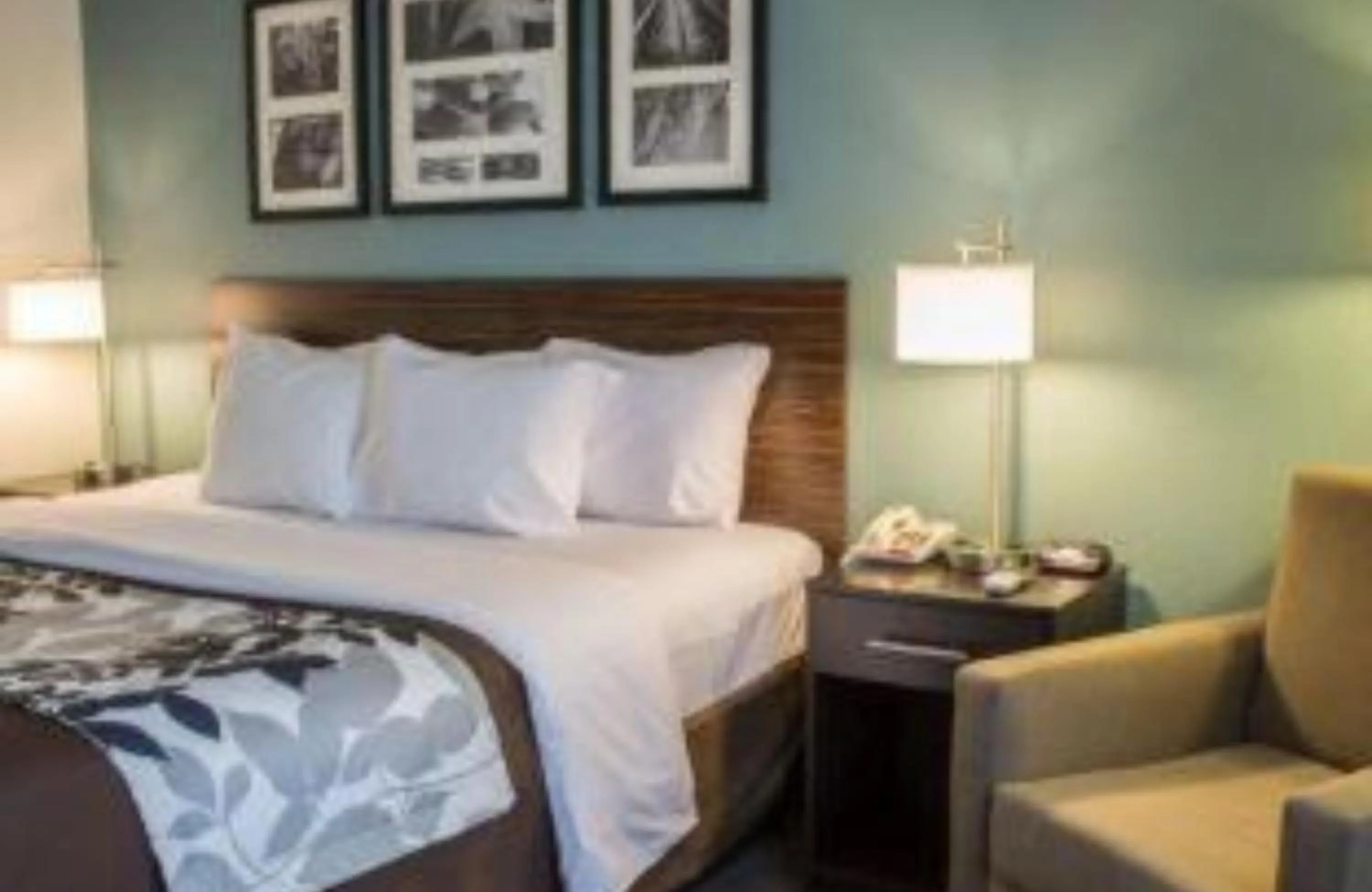 Bedroom in Best Western Cambridge