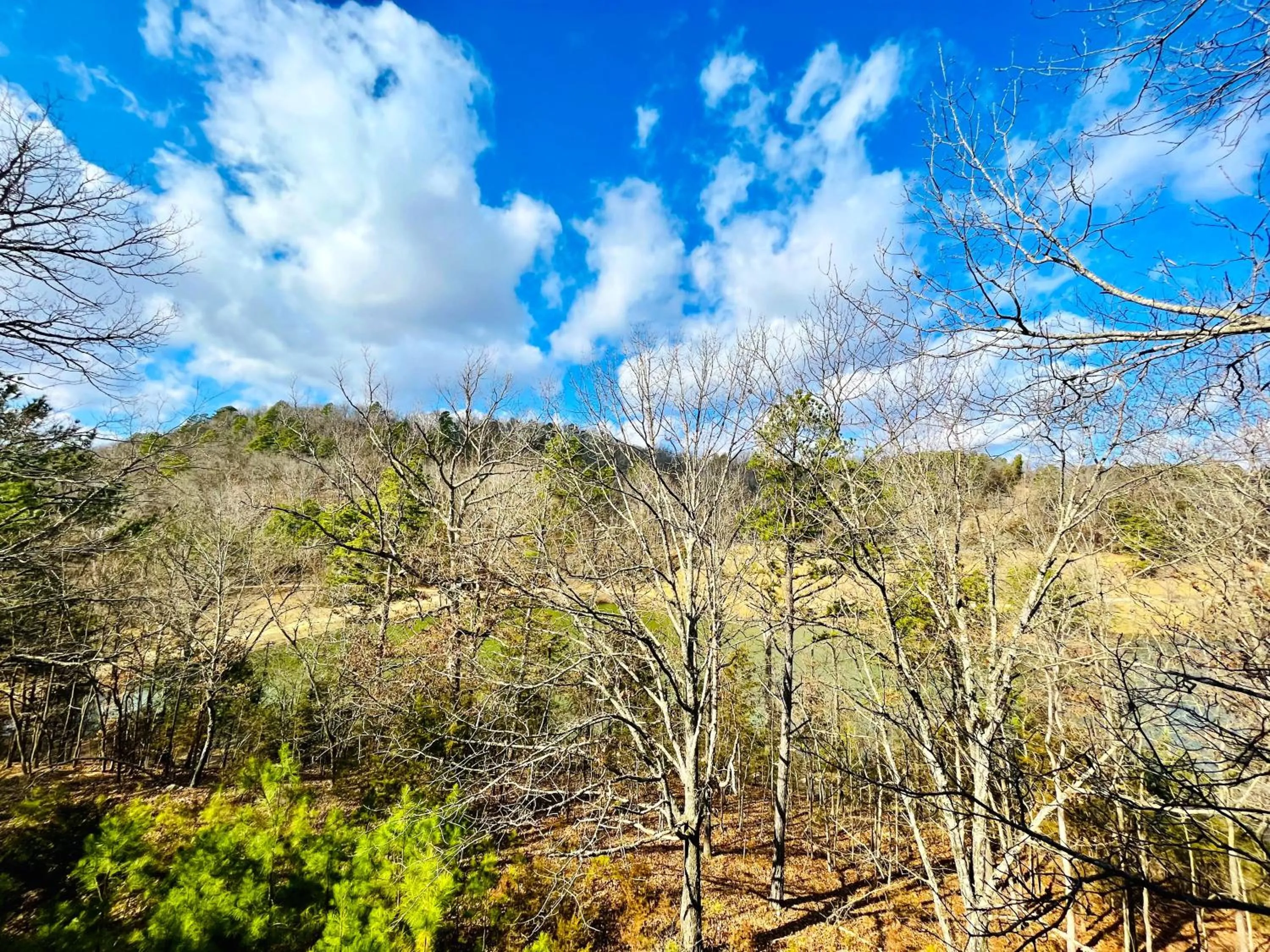 View (from property/room) in Cinnamon Valley