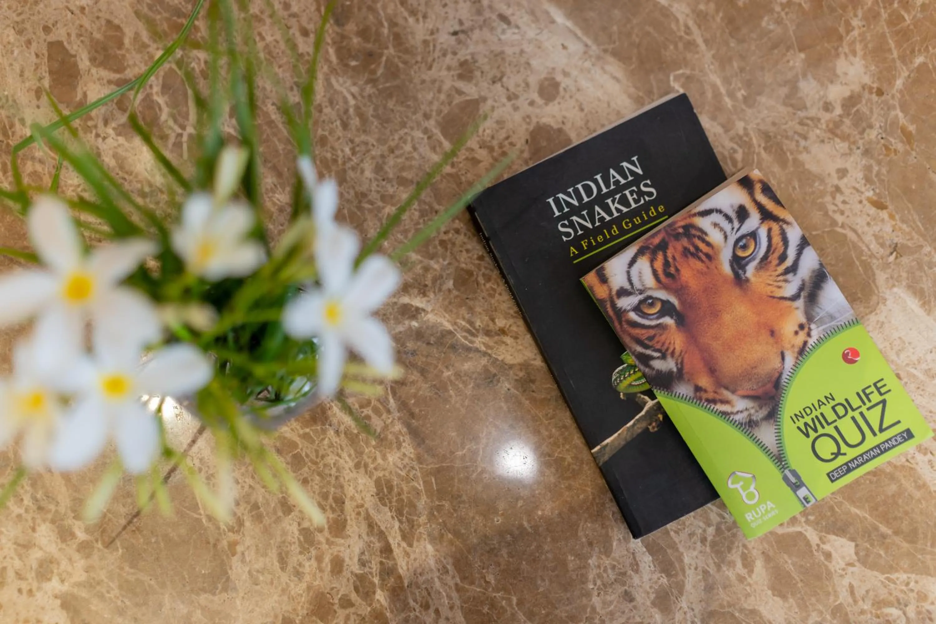 Library in The Gaj Kesri Gir - Best Wildlife Resort in Gir