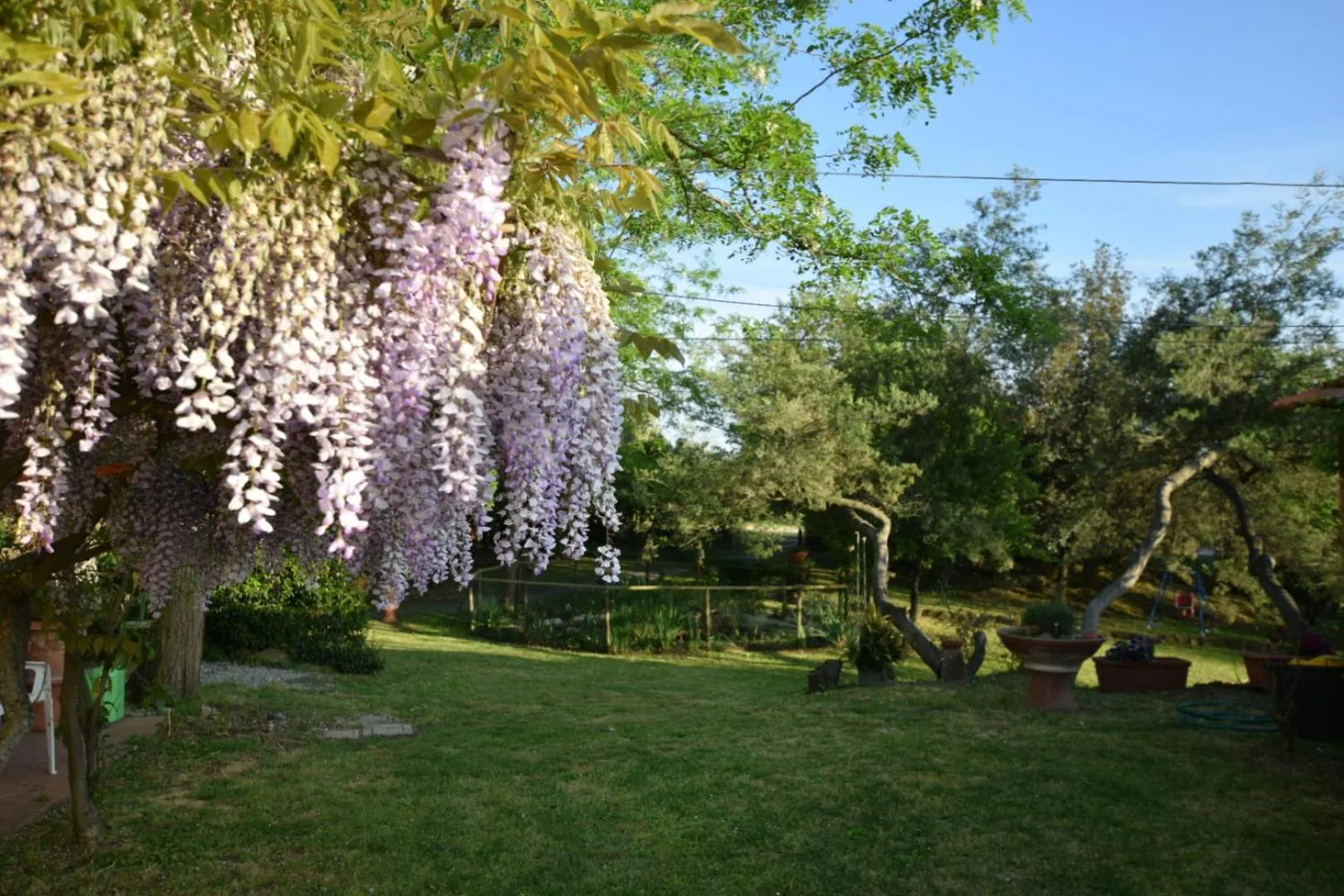 Garden in Le Mimose B&B