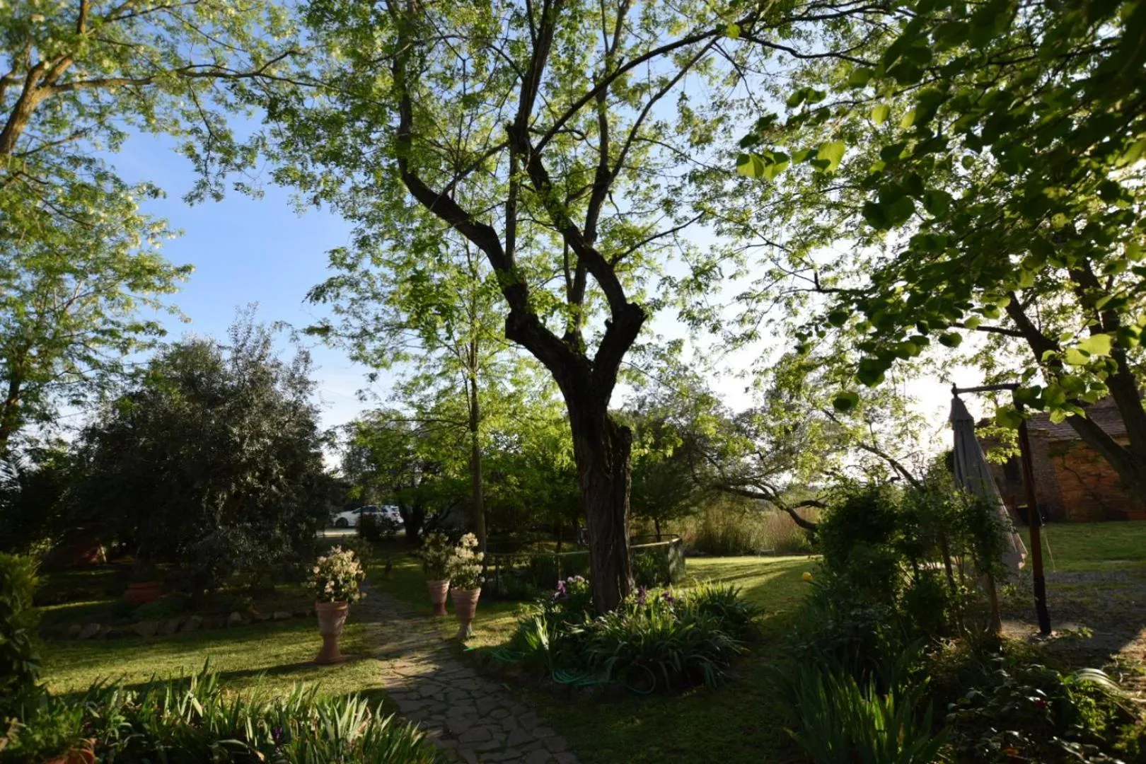Garden in Le Mimose B&B
