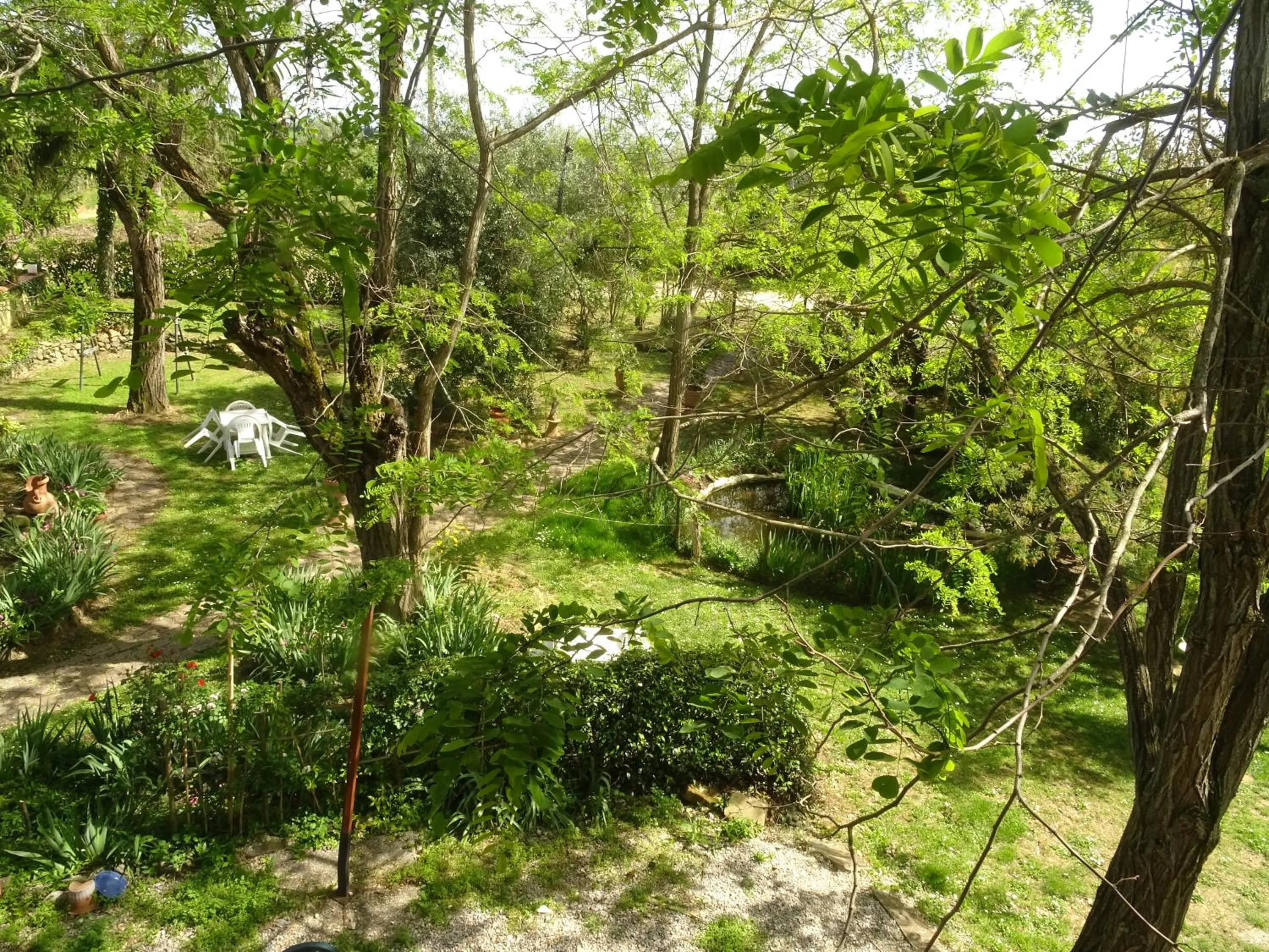 Garden view in Le Mimose B&B