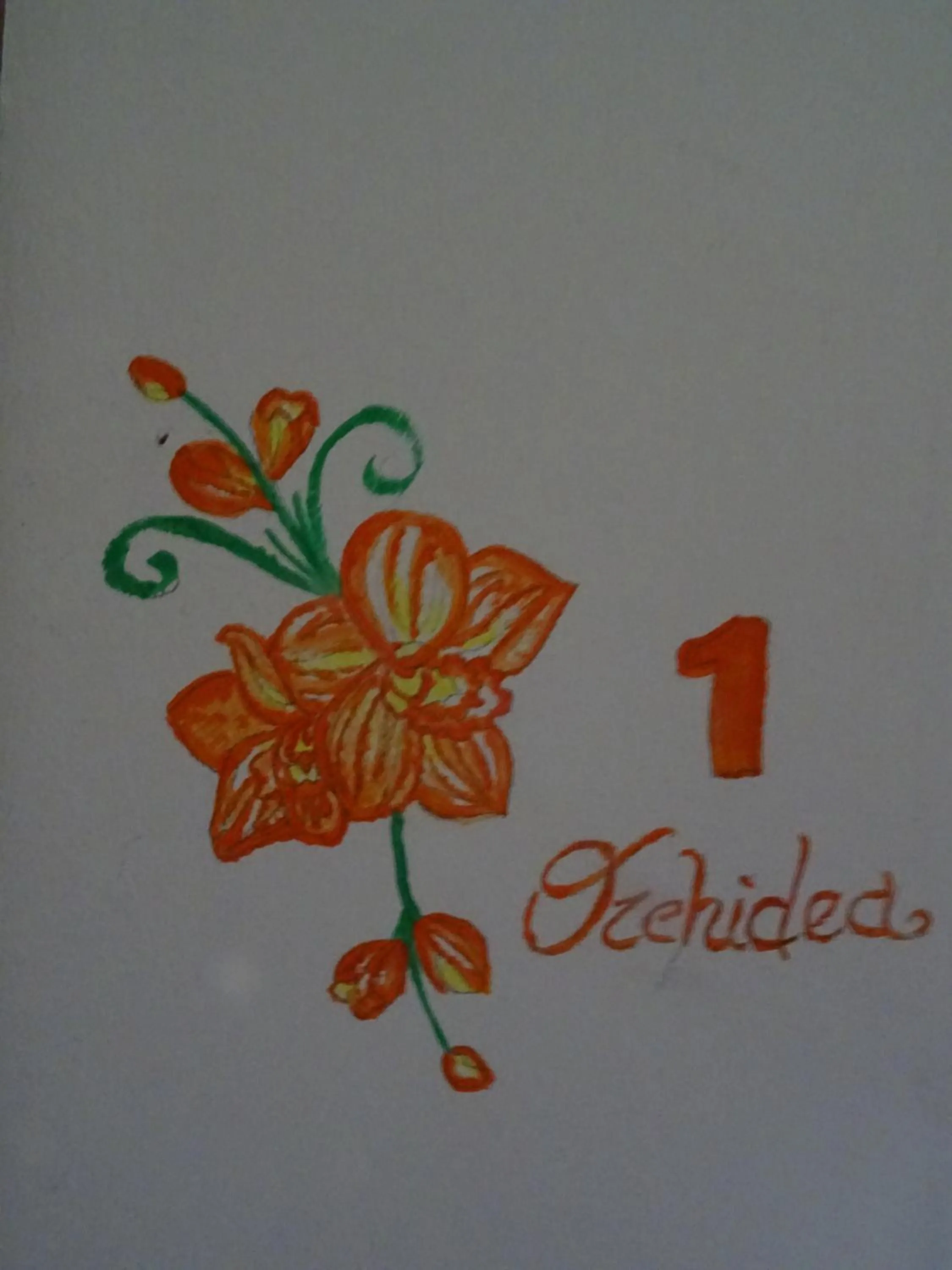 Logo/Certificate/Sign in Le Mimose B&B