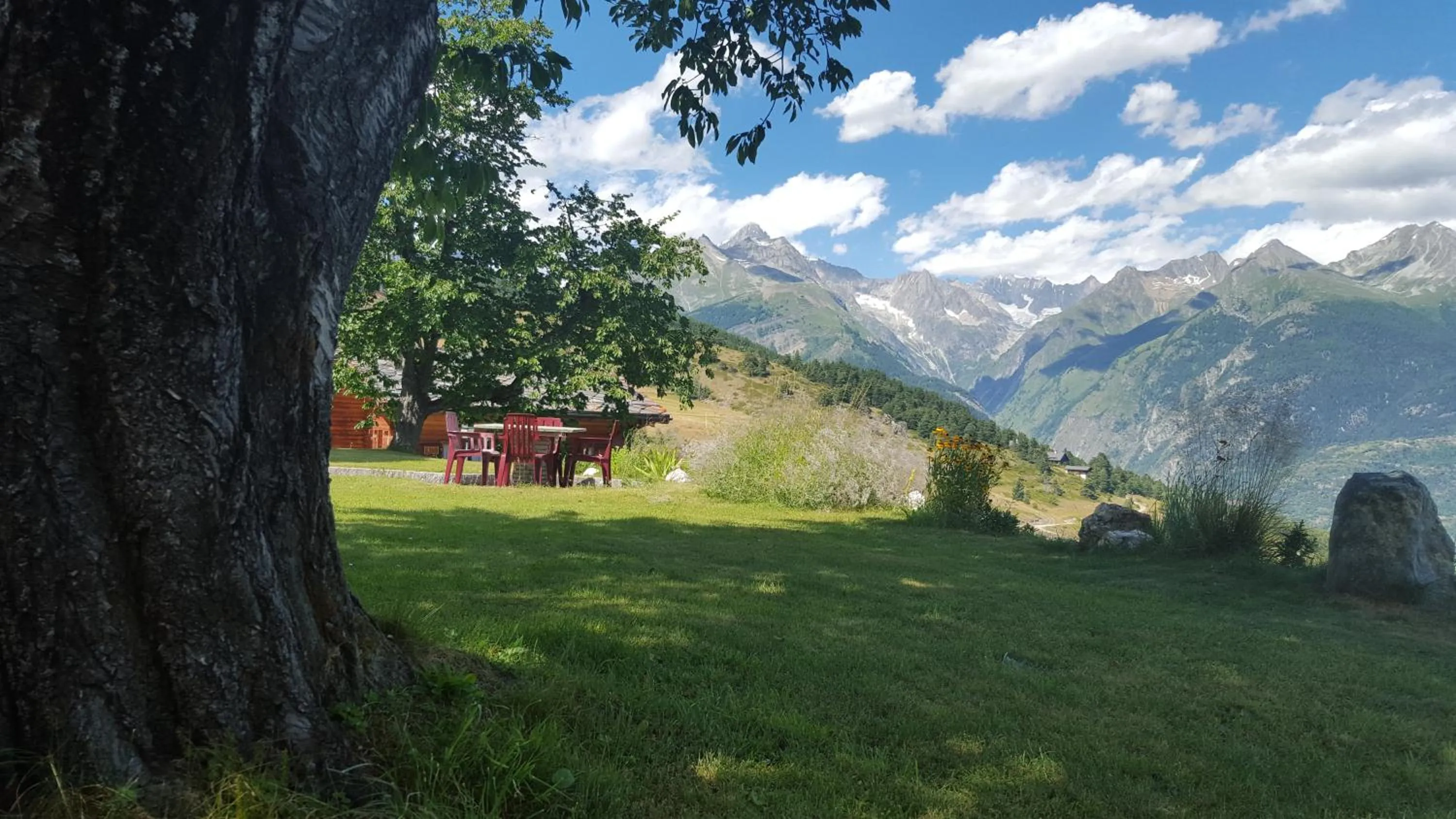 View (from property/room) in Hotel Alpenblick