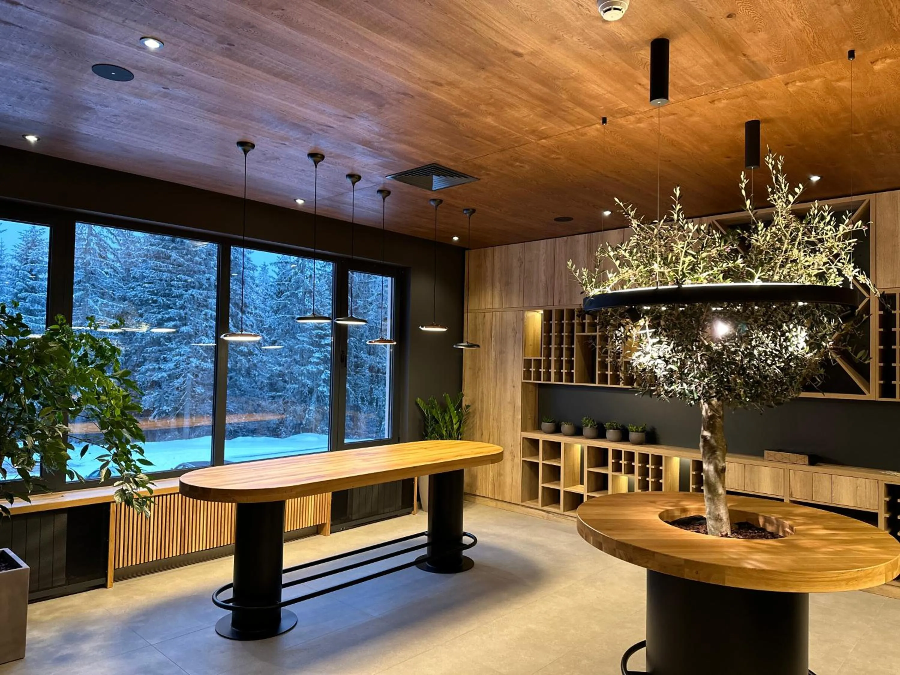 flat iron in Aparthotel Zlatni Javor