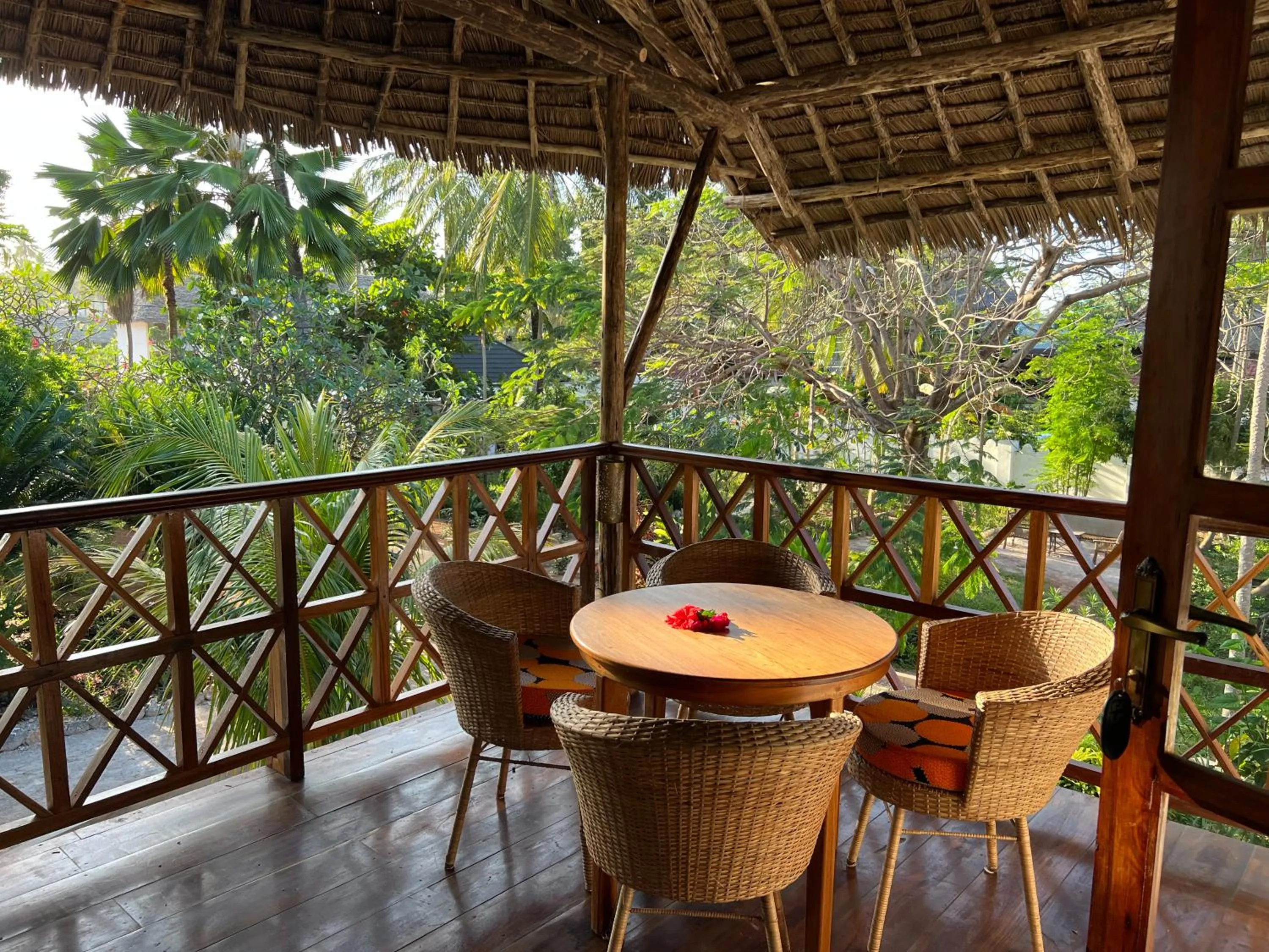 Garden in Zoi Retreat Hotel Zanzibar