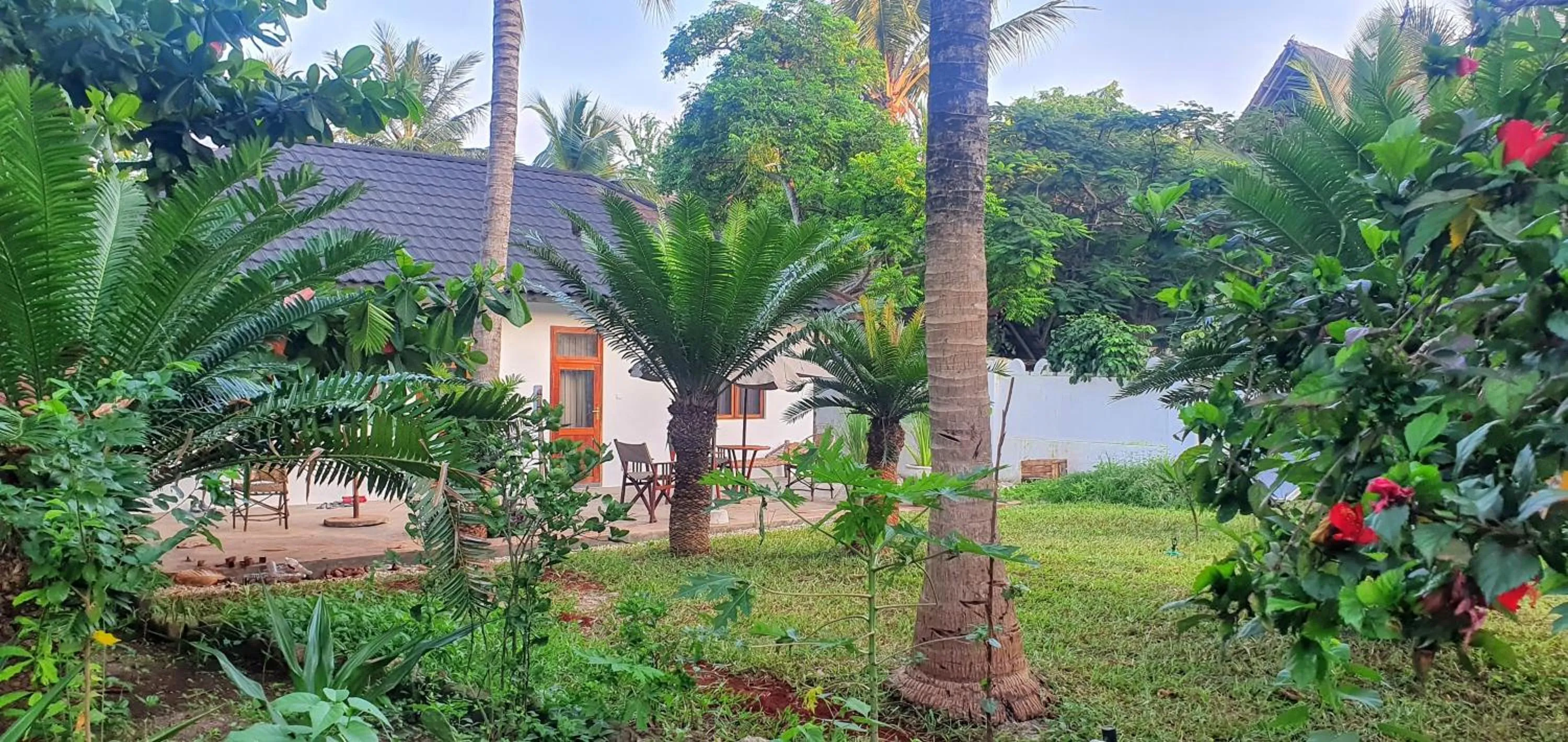 Garden in Zoi Retreat Hotel Zanzibar