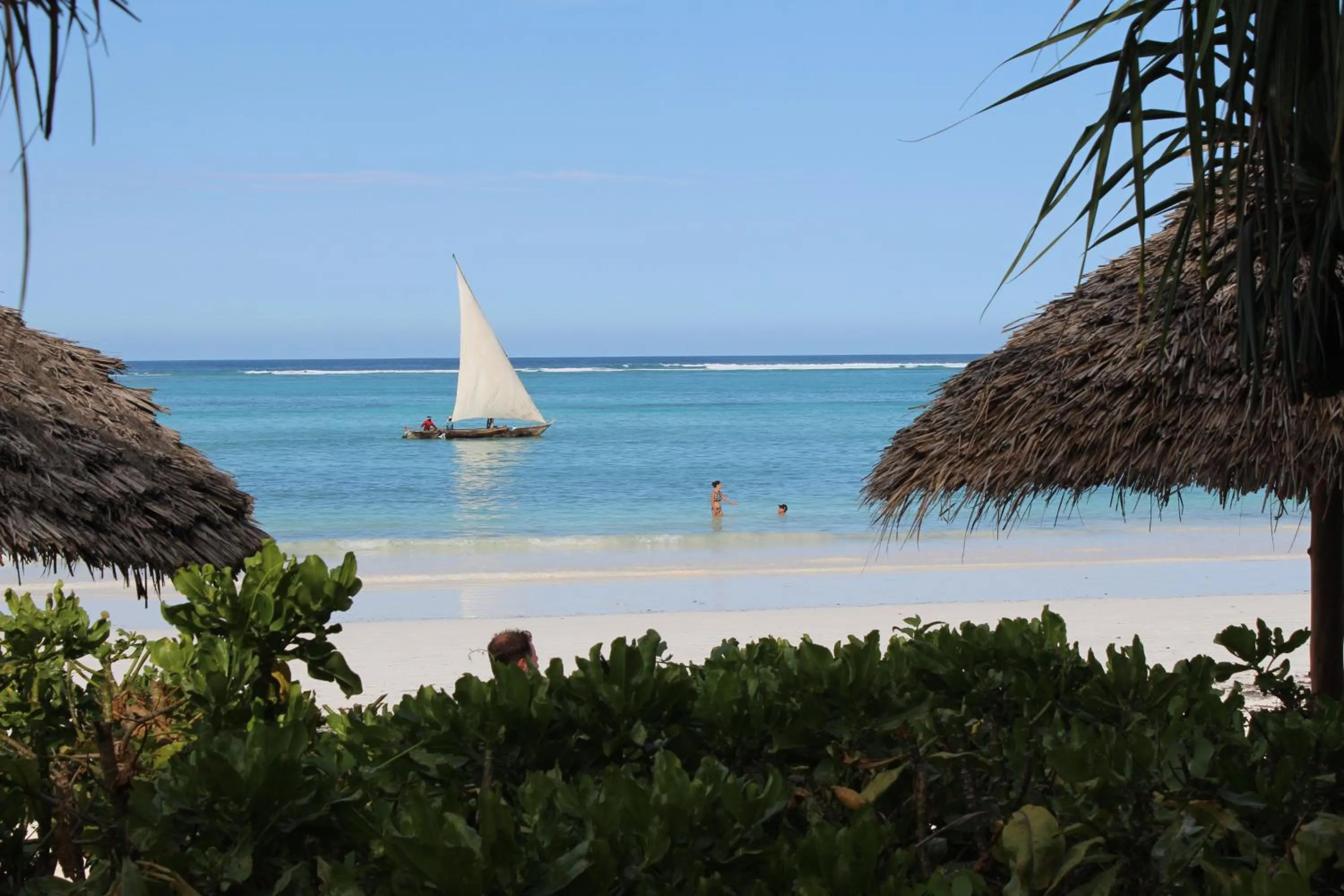 Beach in Zoi Retreat Hotel Zanzibar