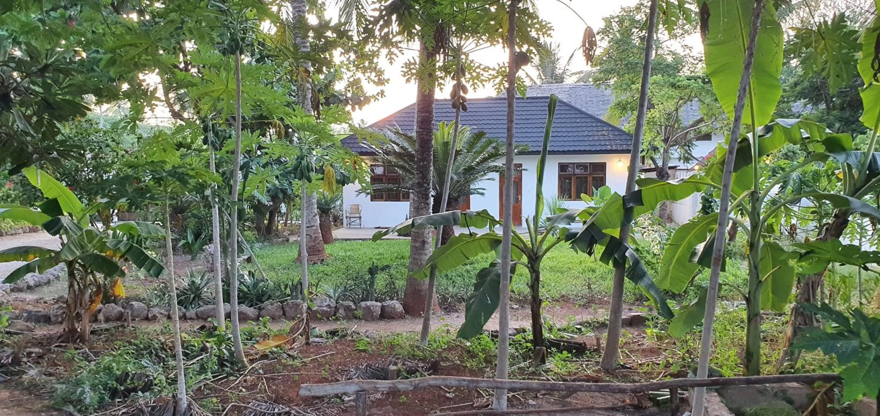 View (from property/room) in Zoi Retreat Hotel Zanzibar