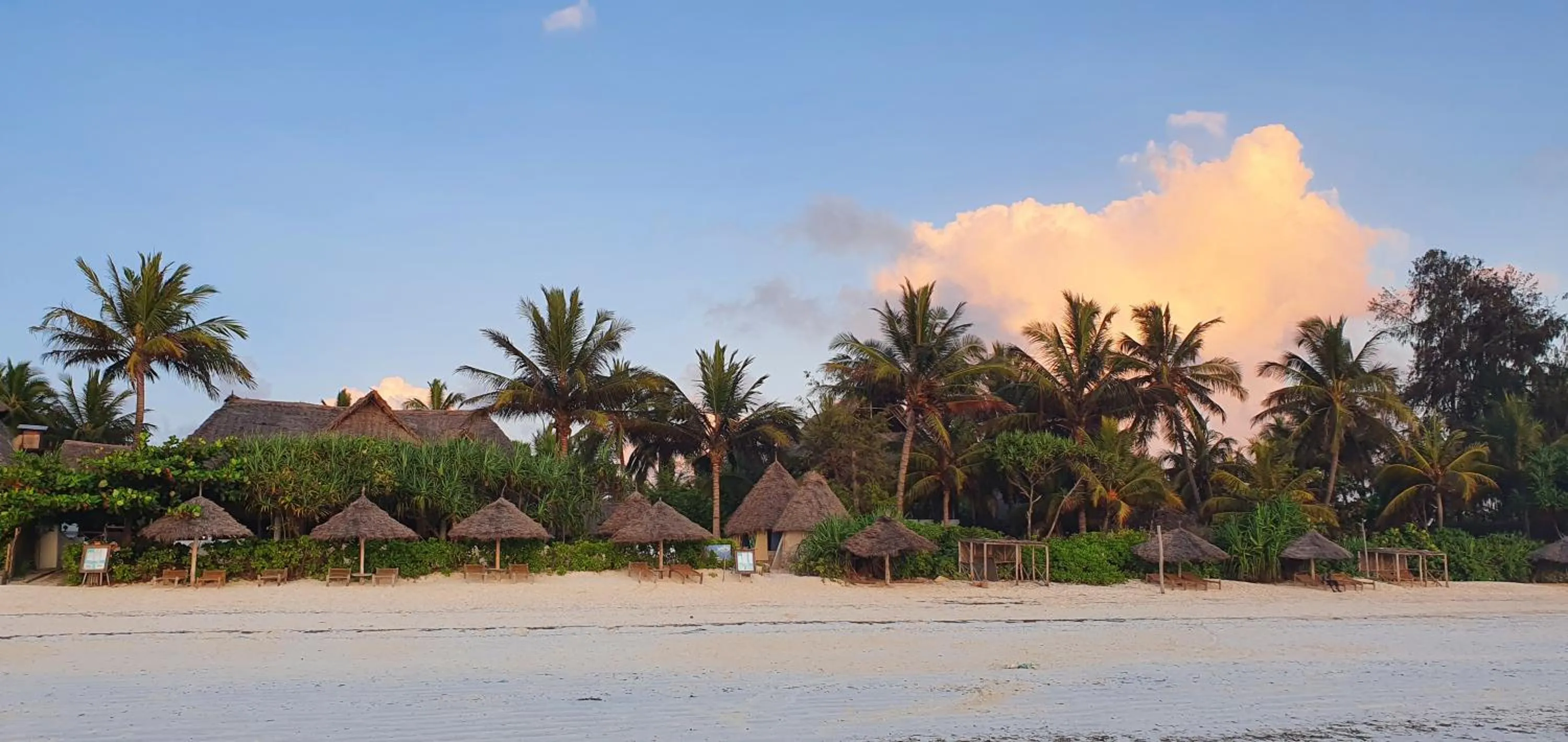 Beach in Zoi Retreat Hotel Zanzibar