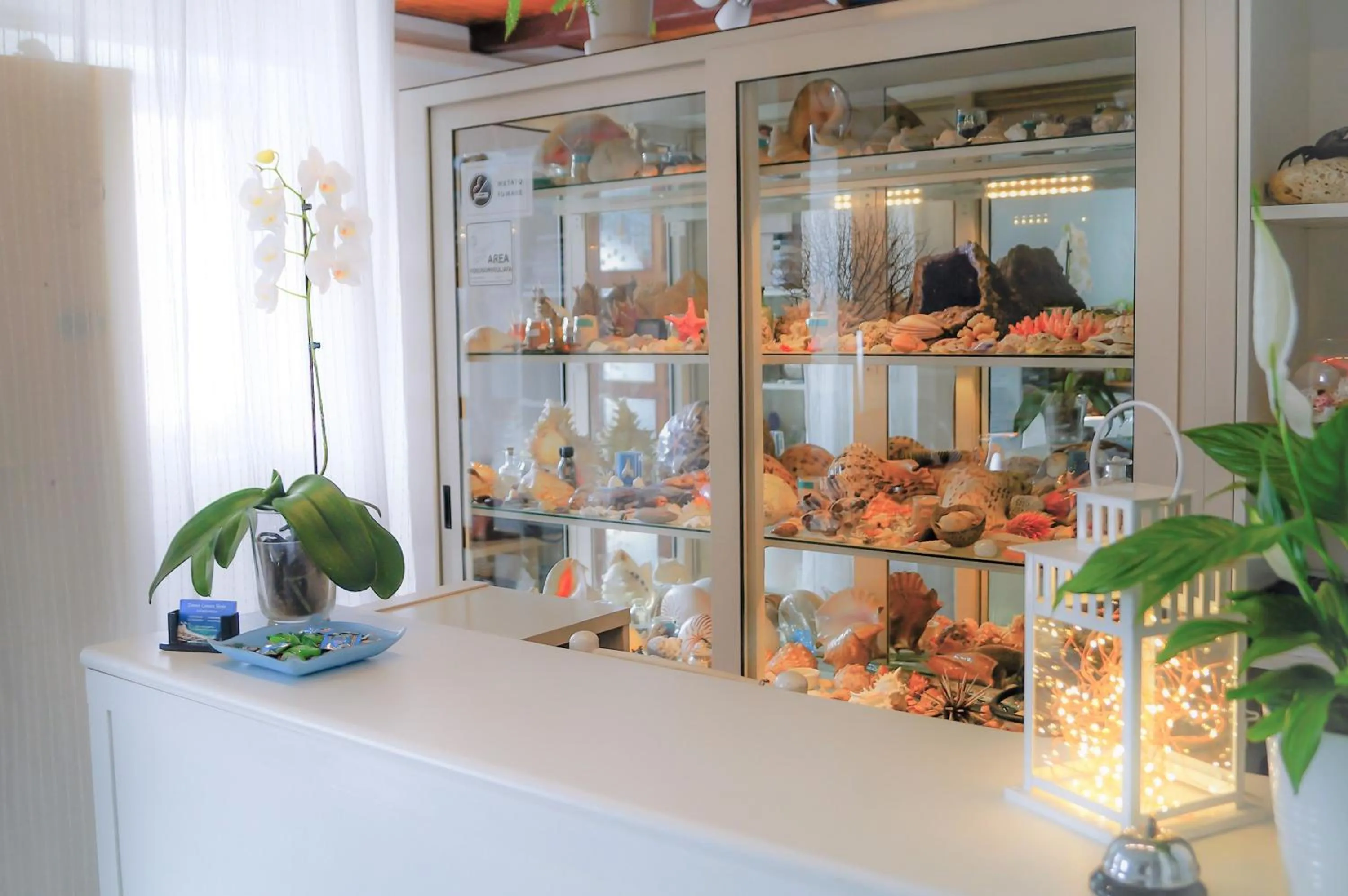 Lobby or reception in Zimmer Camere