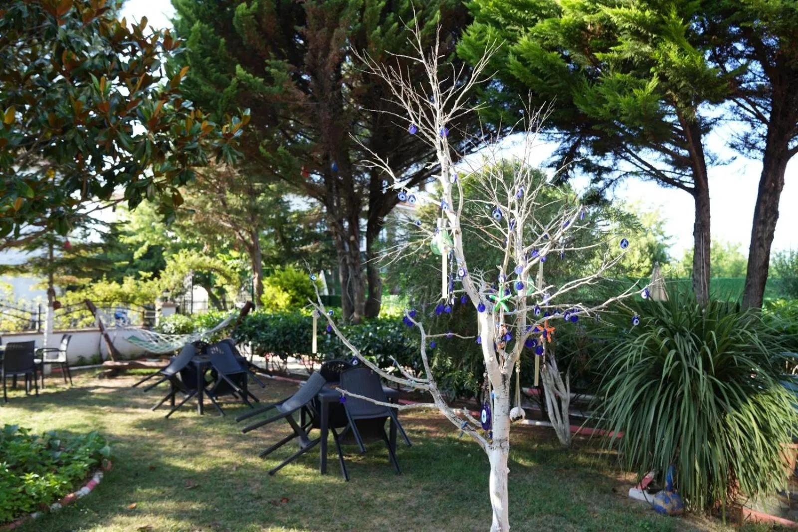 Spring in BUTTERFLY BOUTIQUE HOTEL AĞVA