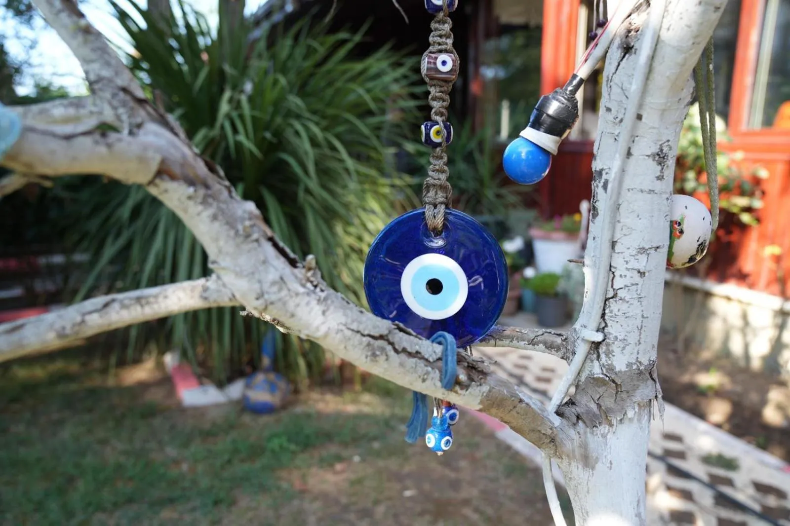 Day in BUTTERFLY BOUTIQUE HOTEL AĞVA