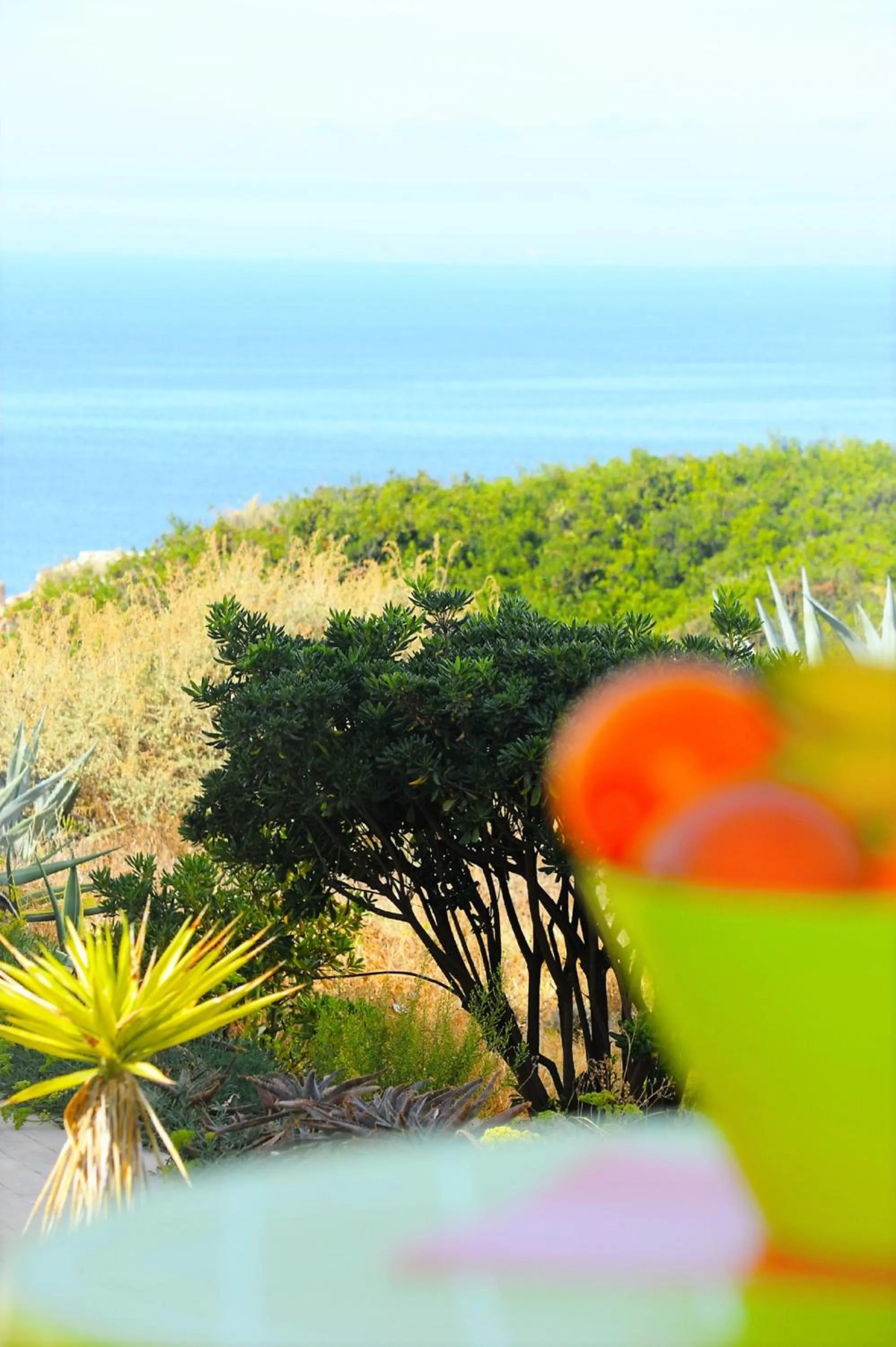 Bird's eye view in Algarpraia