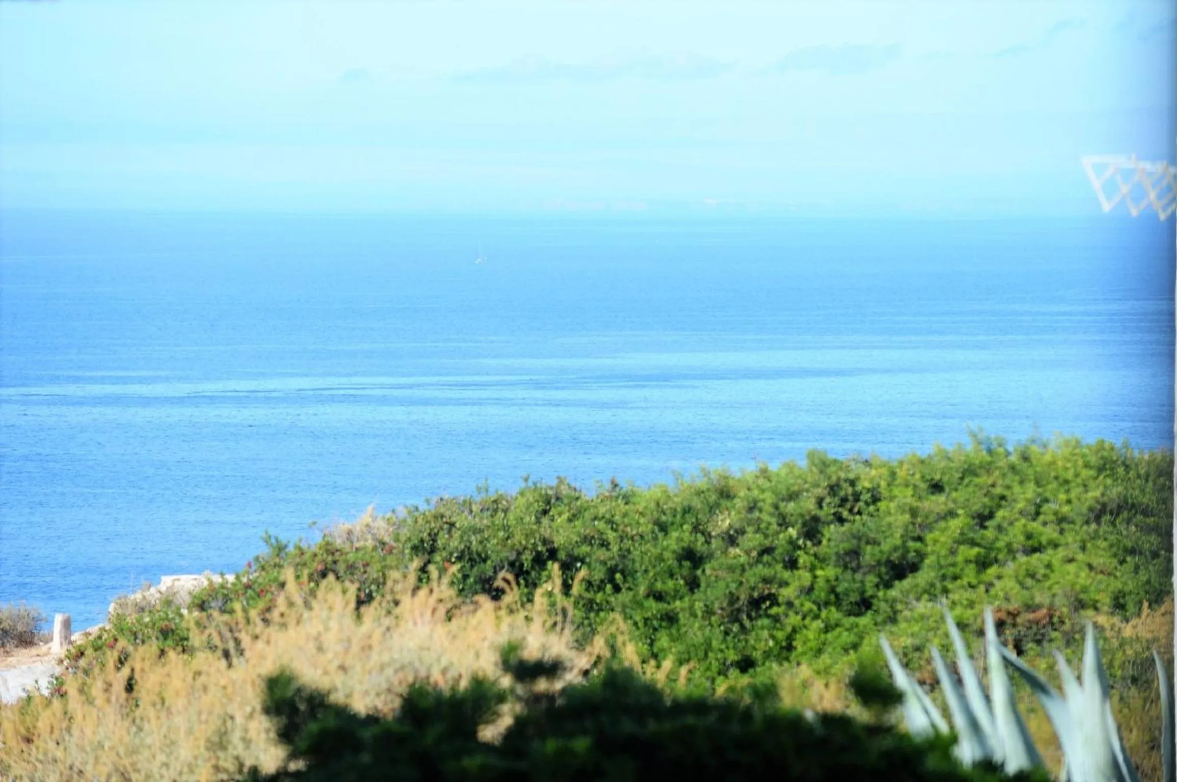 Bird's eye view in Algarpraia