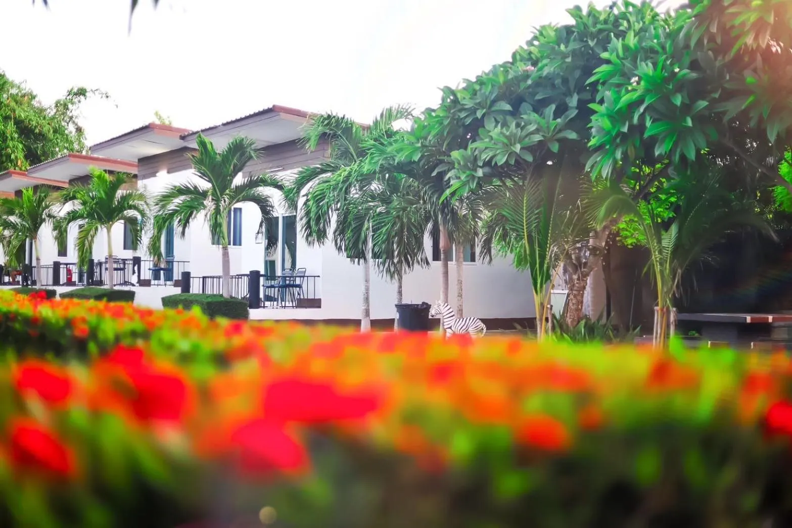 Billabong Golf Club & Resort