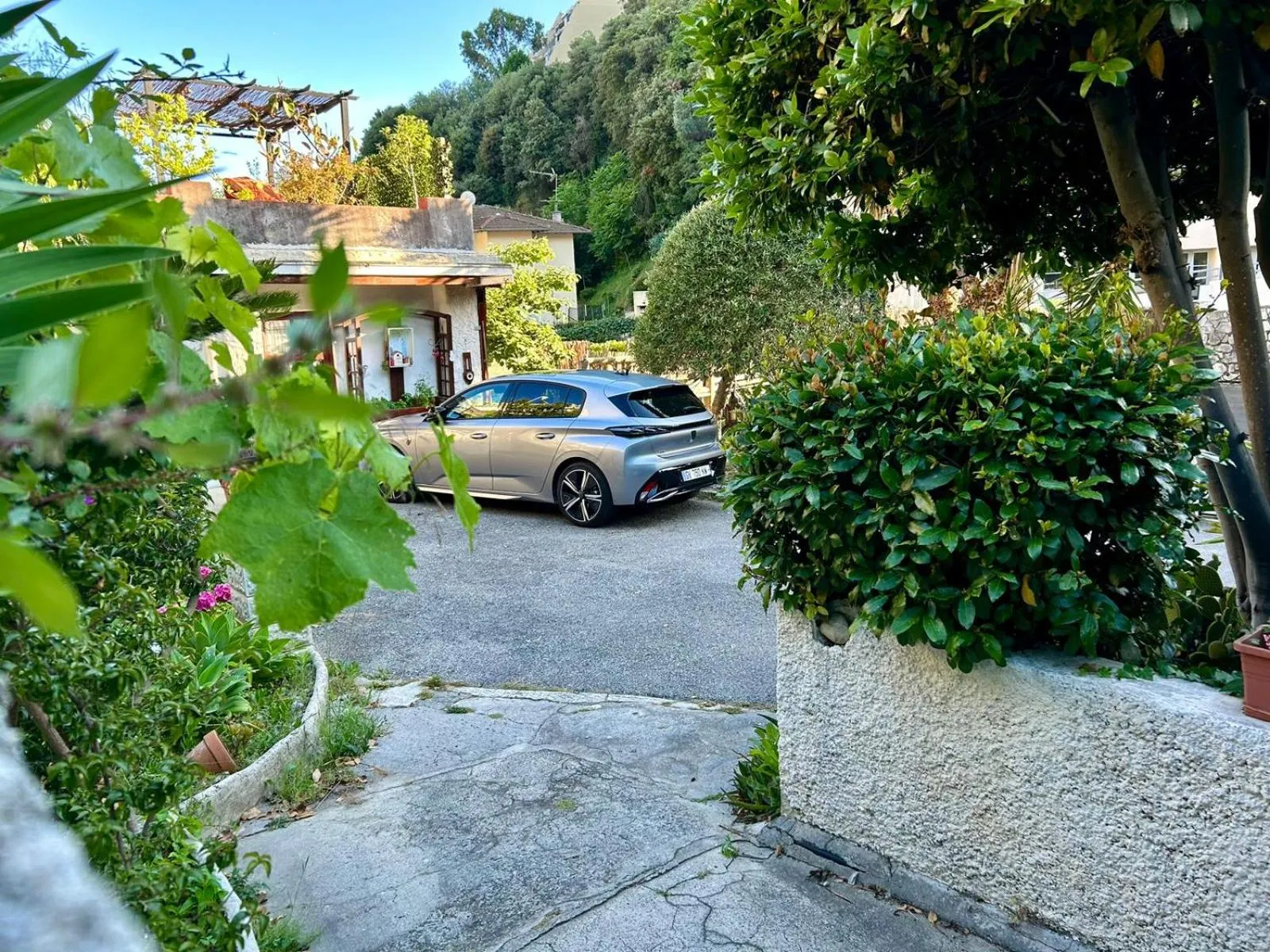 Garden in Villa Bellabé