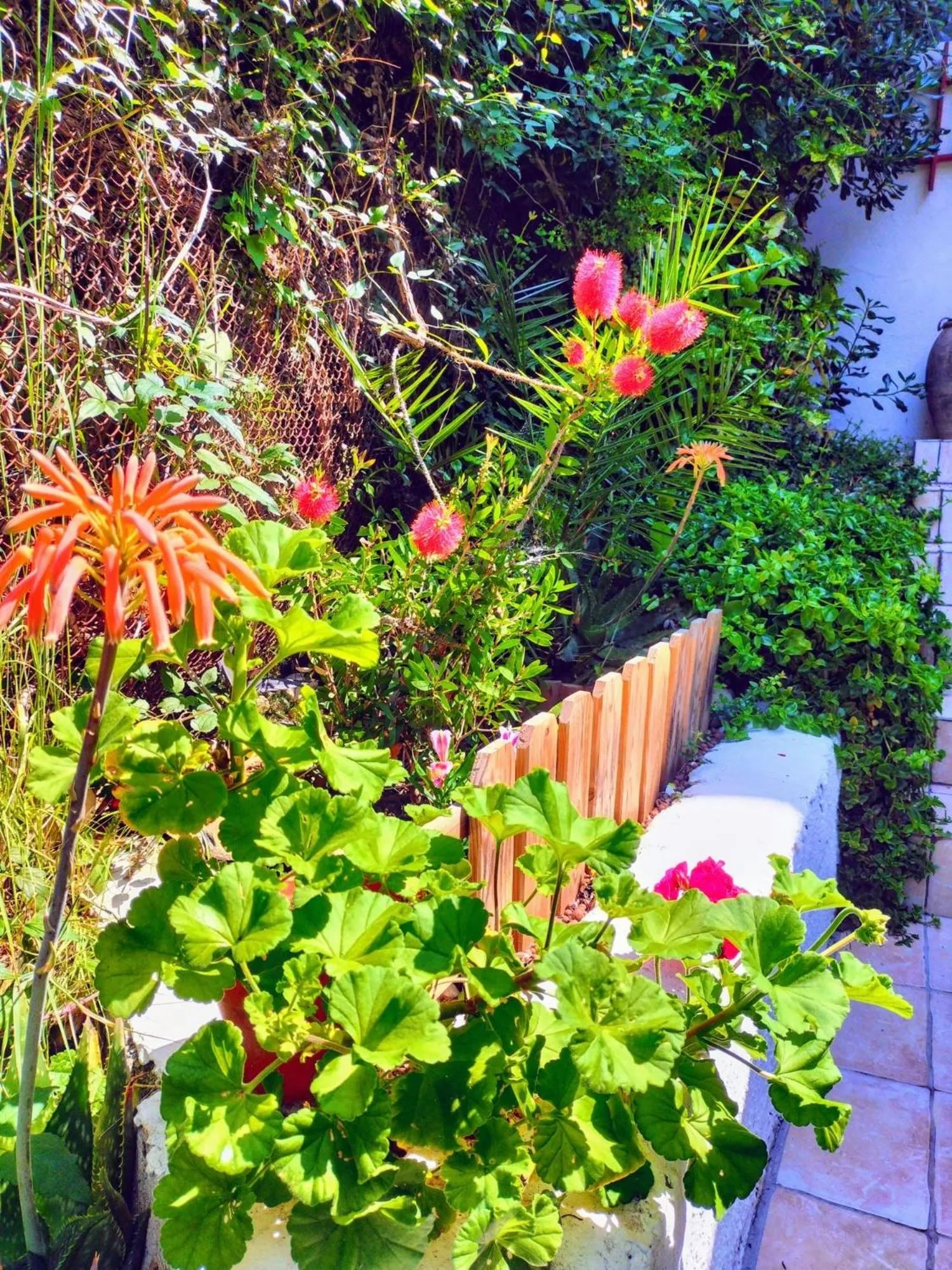 Decorative detail in Villa Bellabé