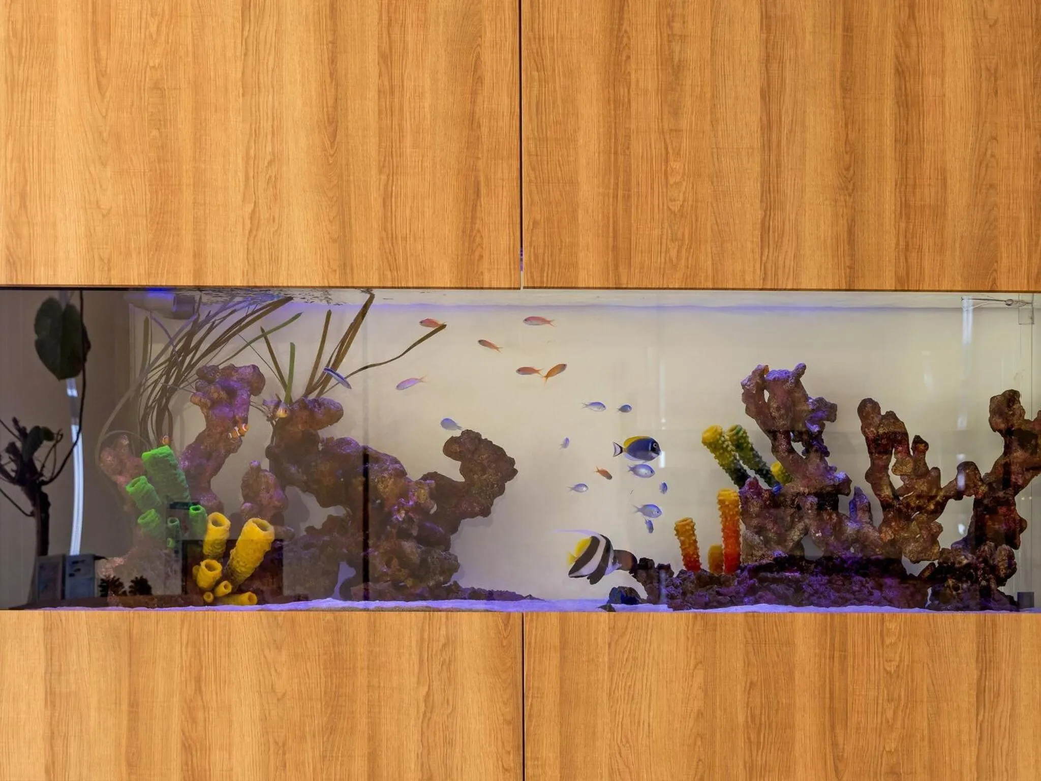 Area and facilities in そらすな Beach Side Resort Hotel