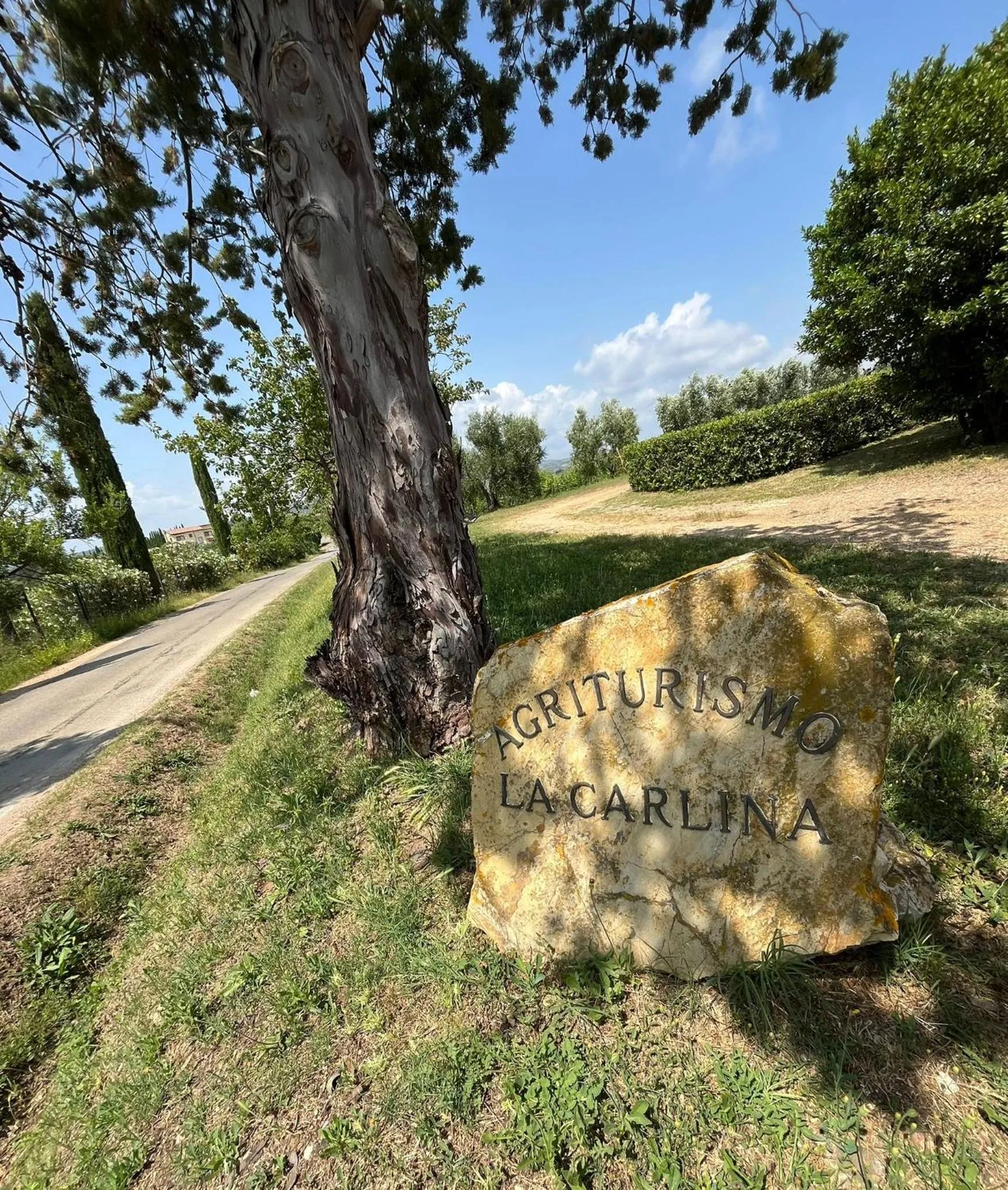 Natural landscape in Agriturismo La Carlina