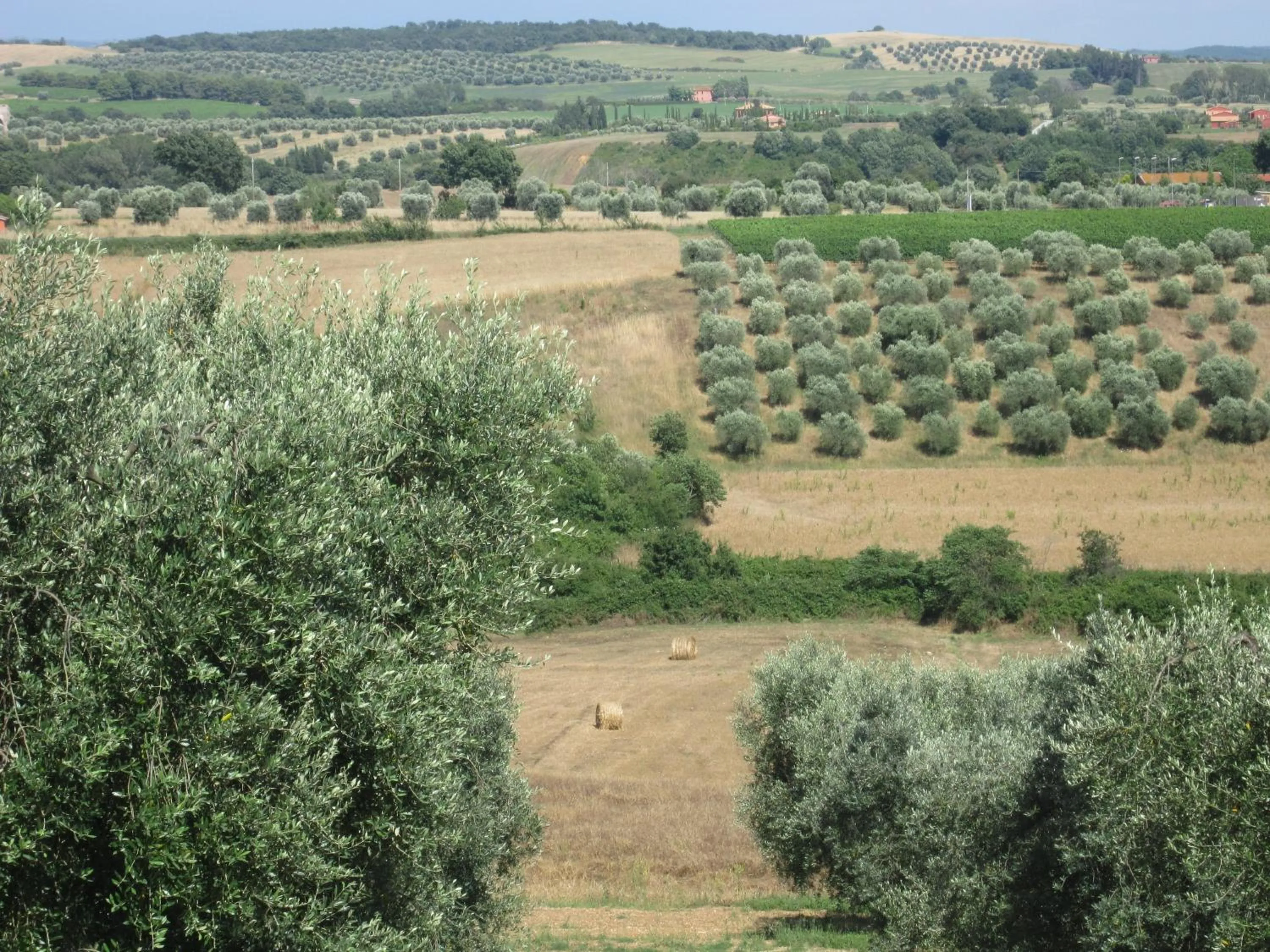 Natural landscape in Agriturismo La Carlina