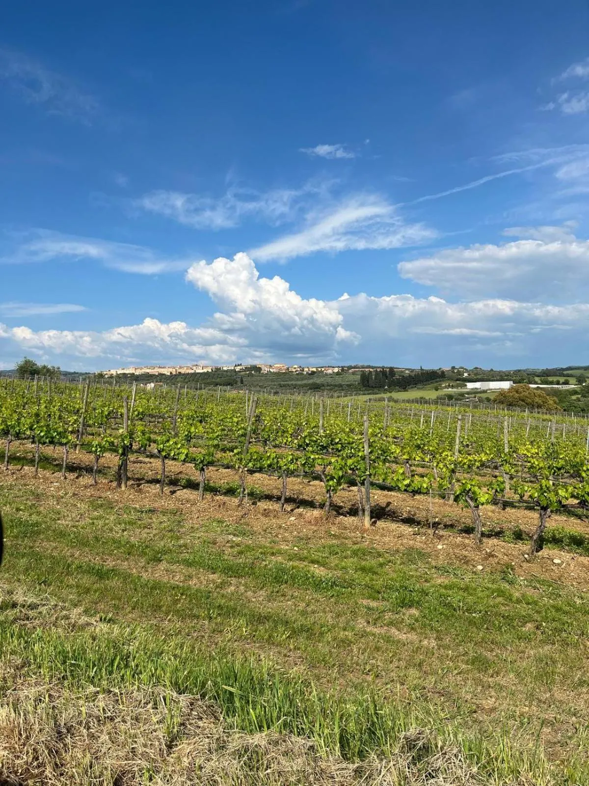 Natural landscape in Agriturismo La Carlina