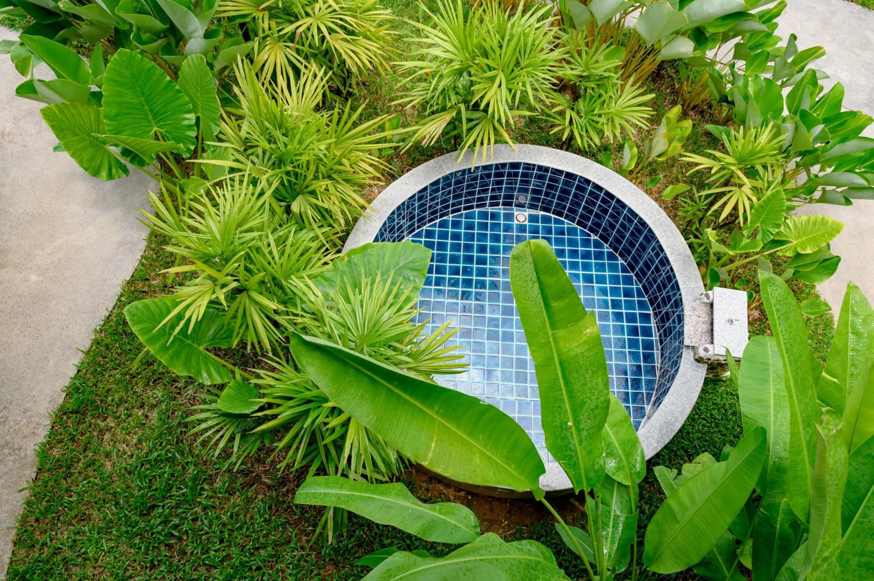 Earth Elements Eco Resort