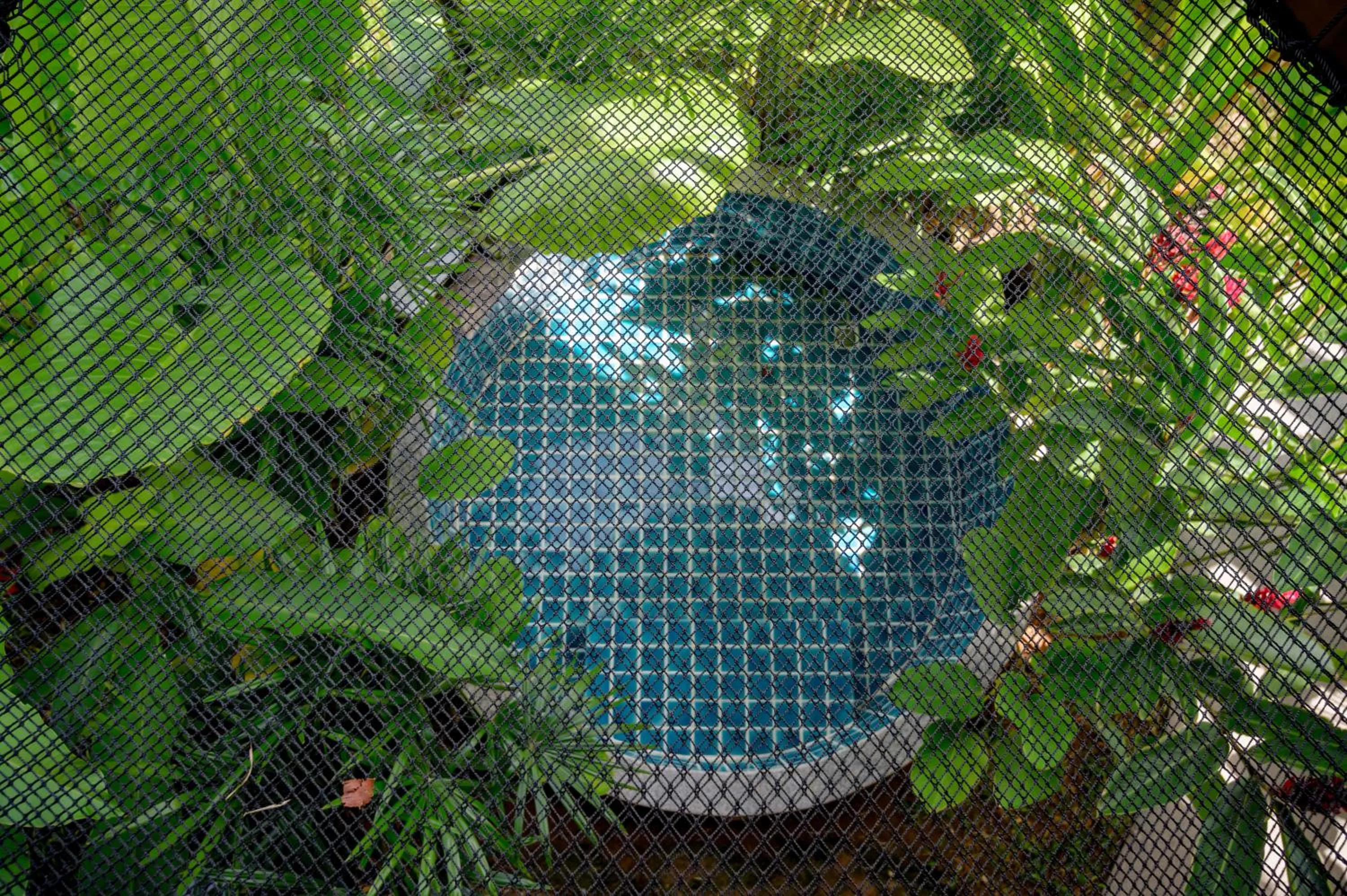 Earth Elements Eco Resort