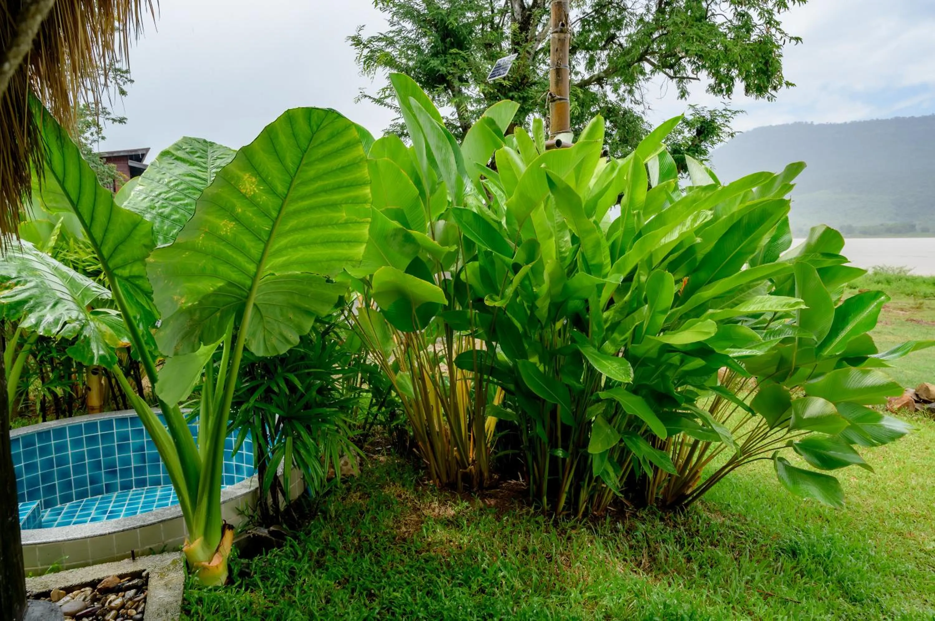 Earth Elements Eco Resort