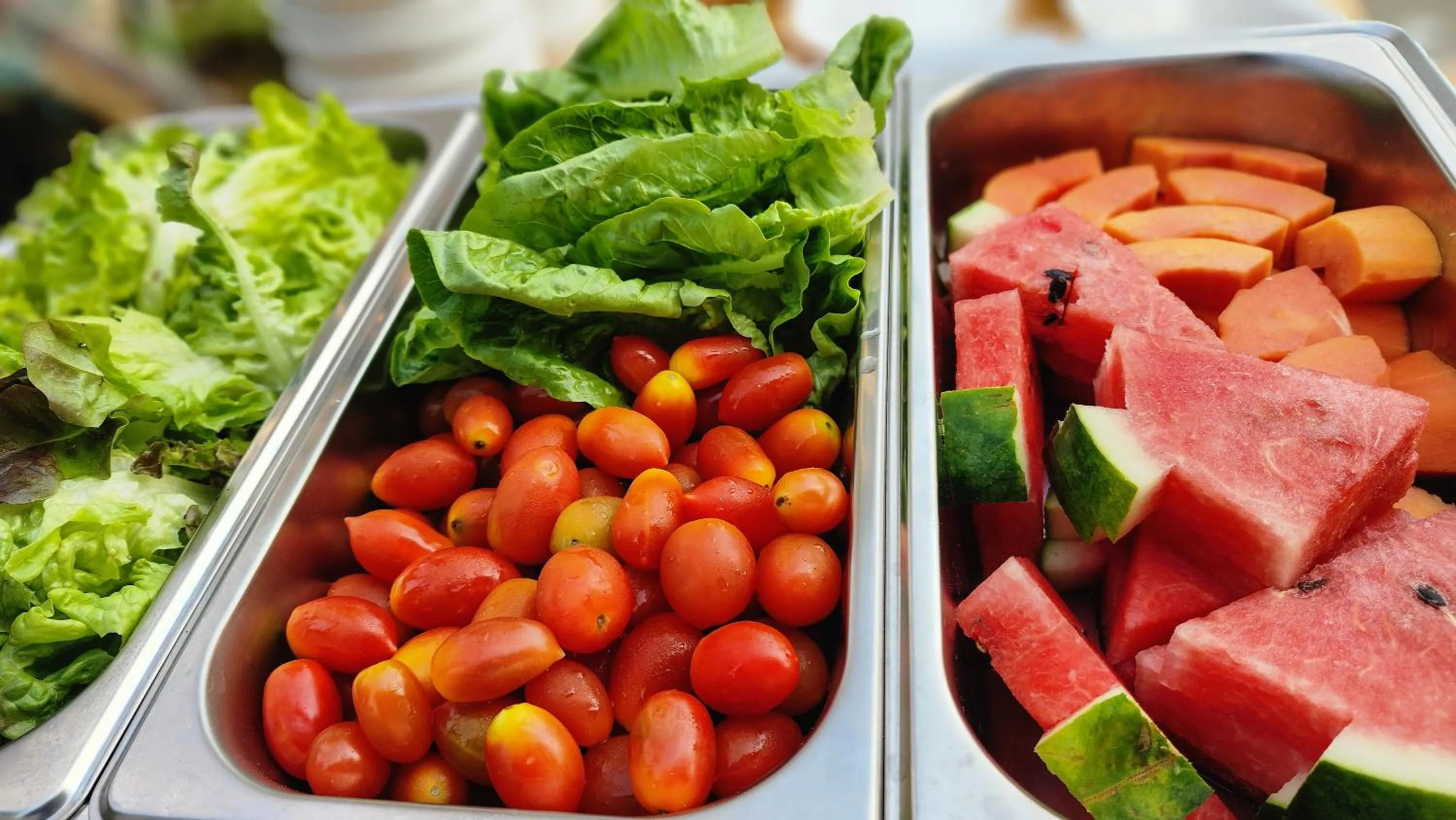 Breakfast in Earth Elements Eco Resort