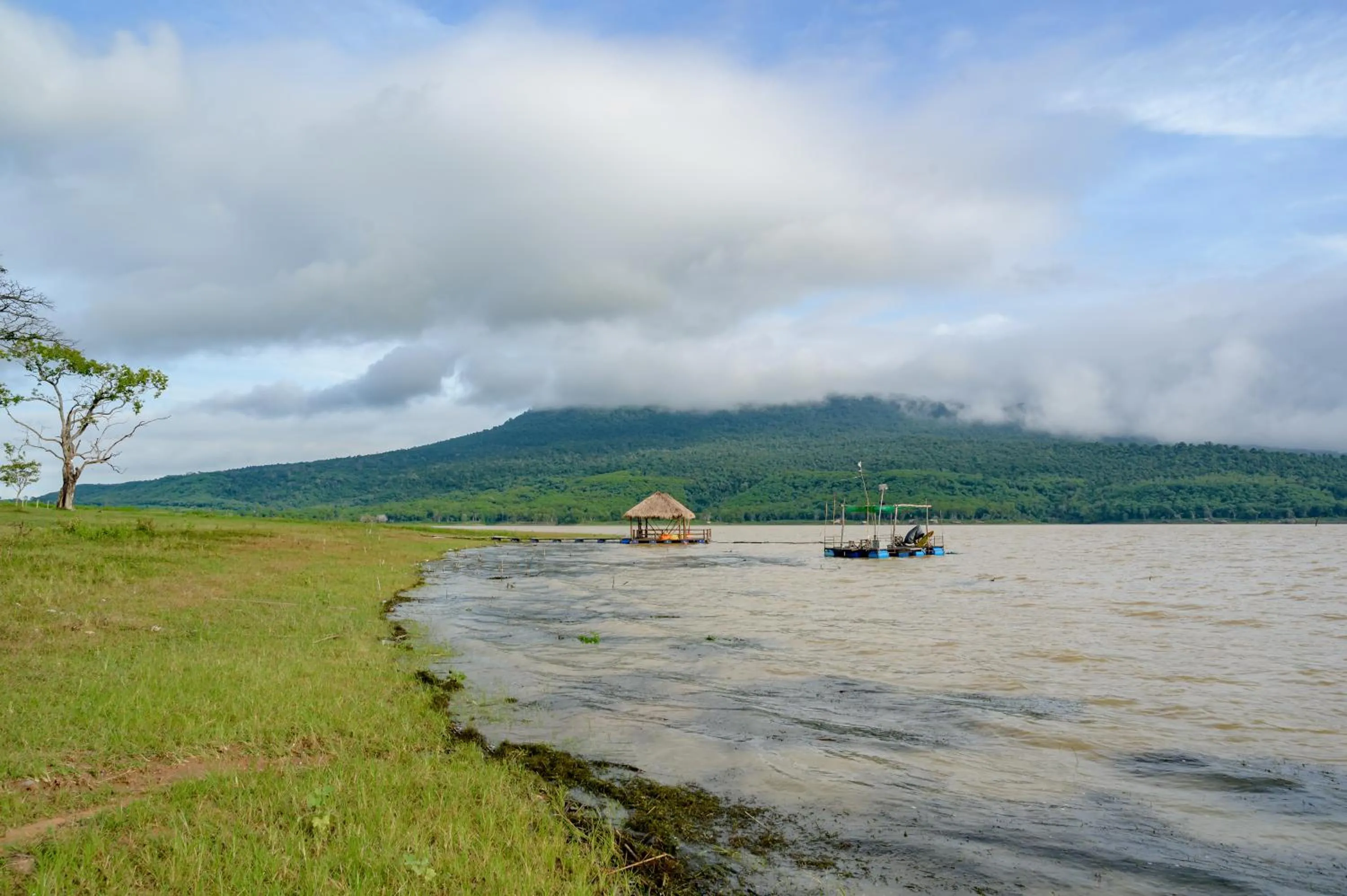 Earth Elements Eco Resort