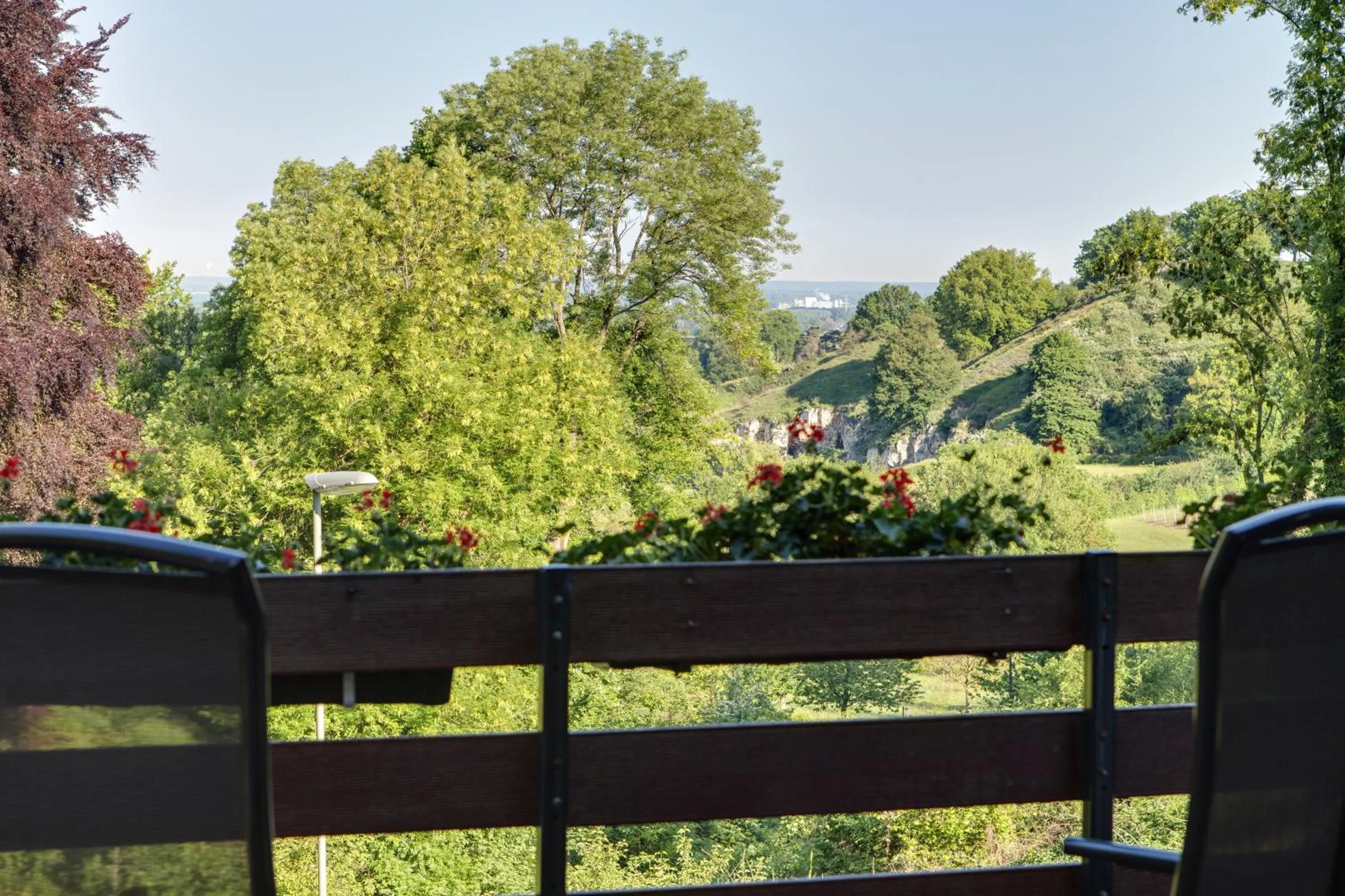 Mountain view in Hotel Bergrust