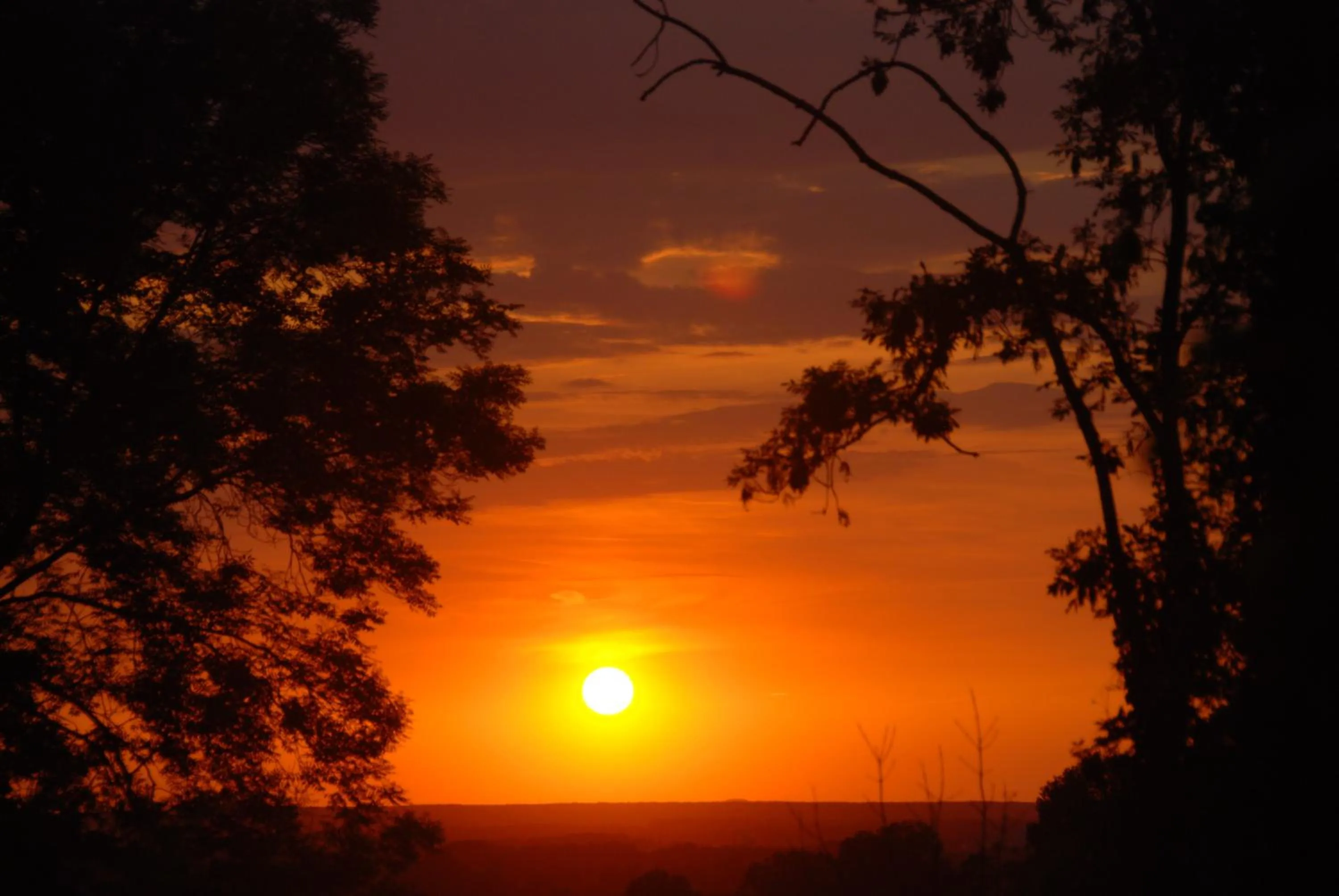 Summer in Hotel Bergrust