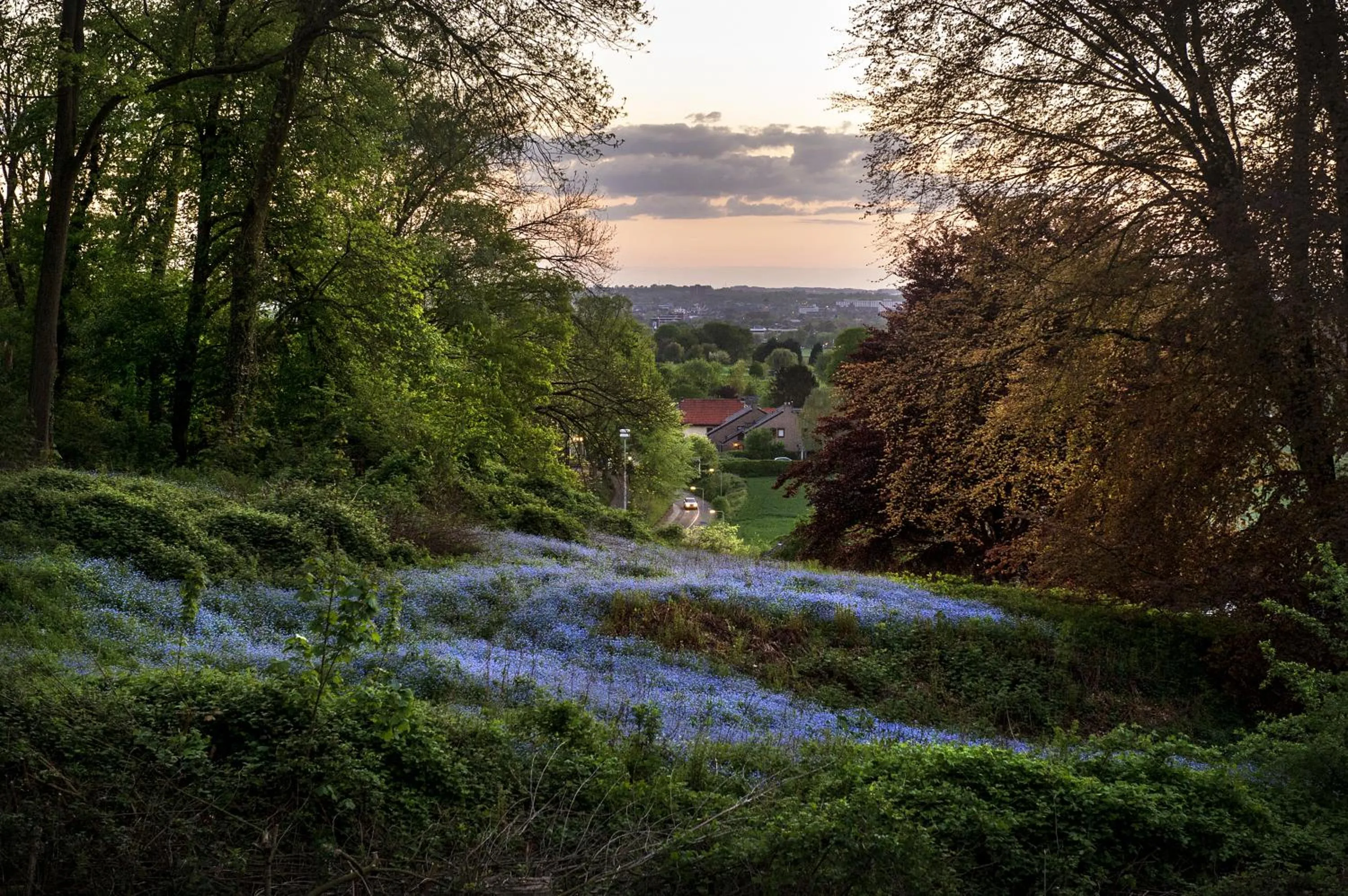 Spring in Hotel Bergrust