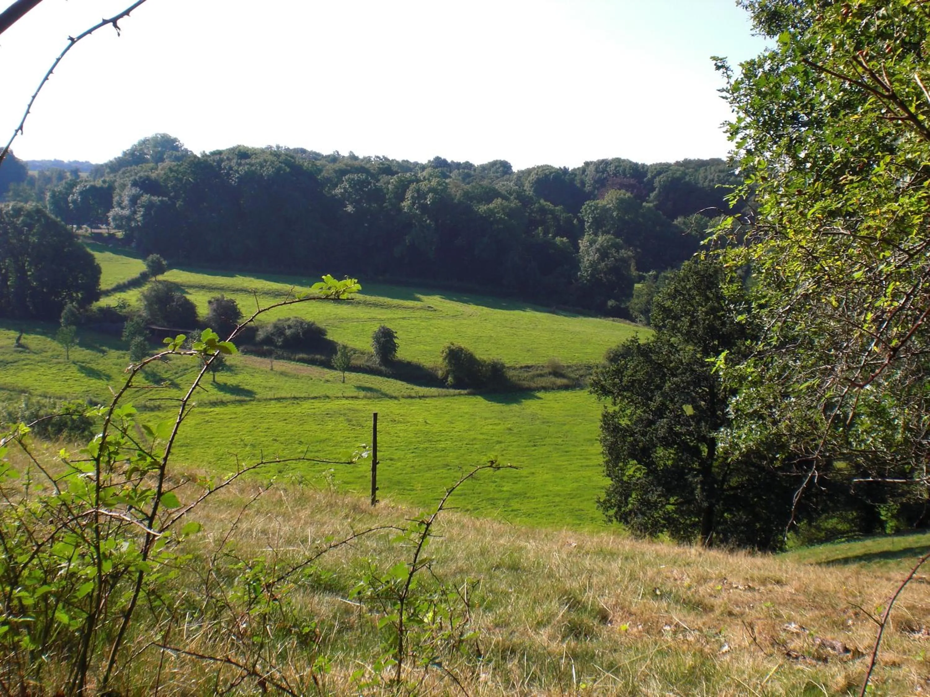 Area and facilities in Hotel Bergrust