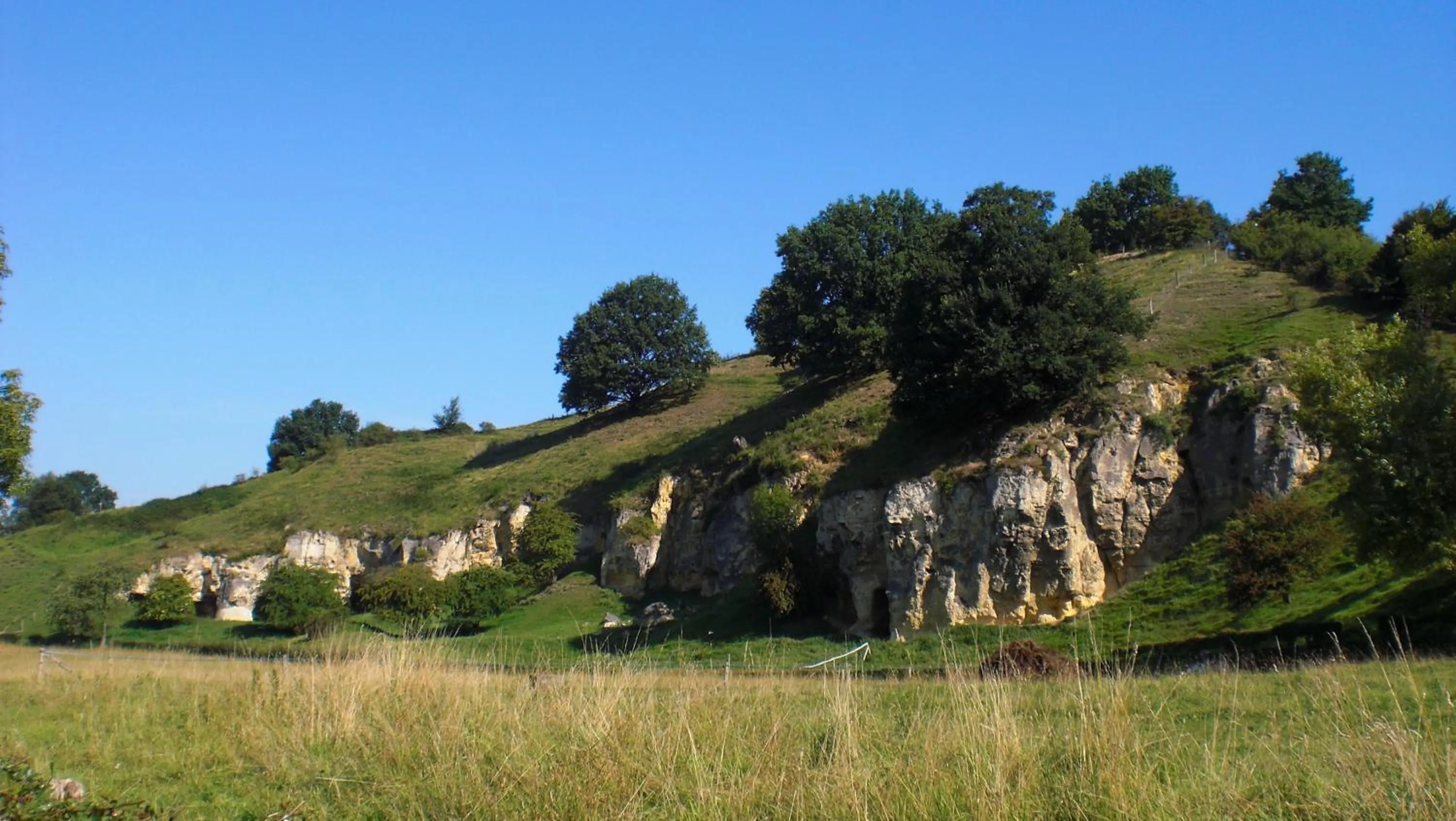 Area and facilities in Hotel Bergrust