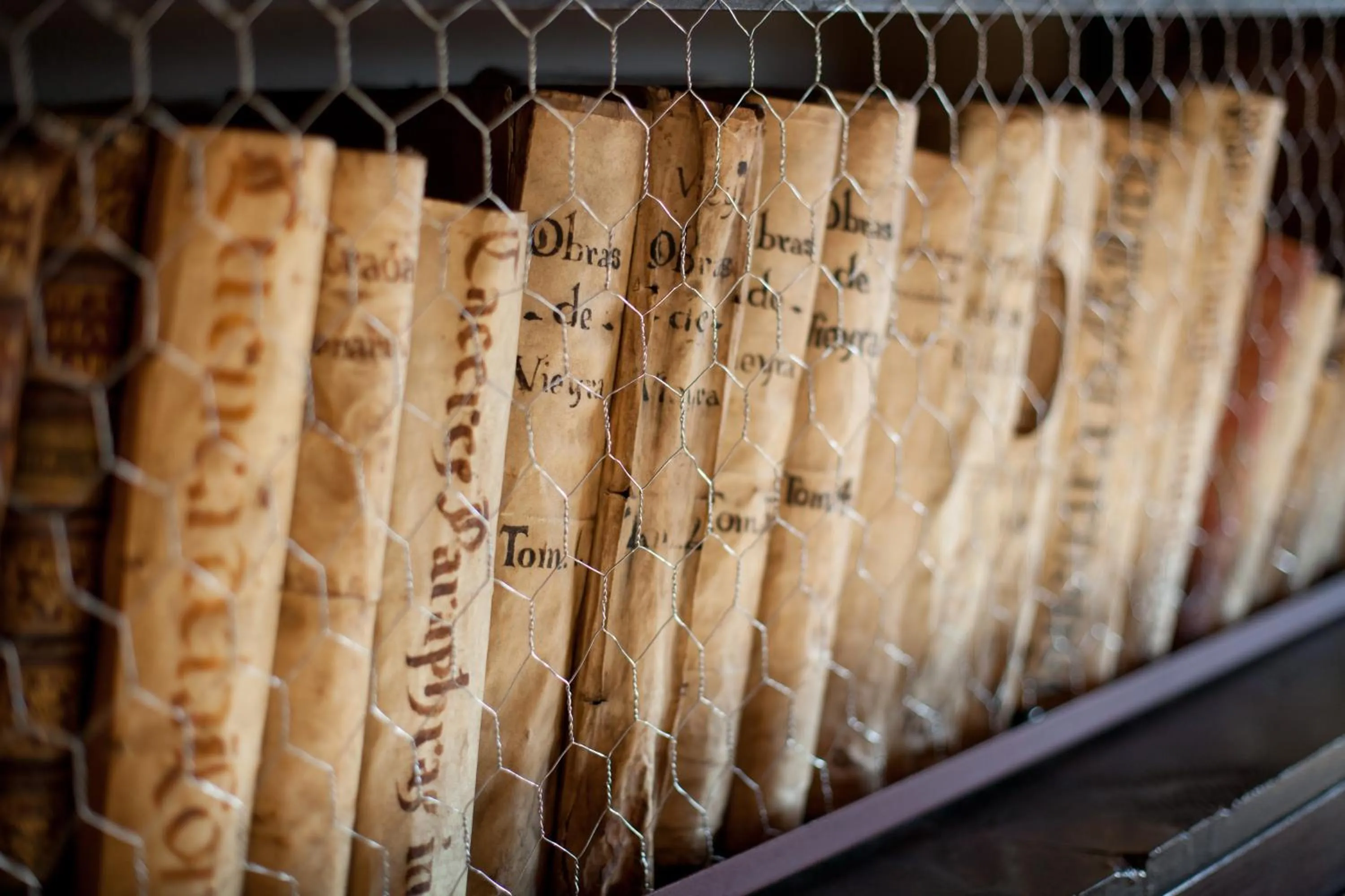 Library in Lo Palauet de la Muralla