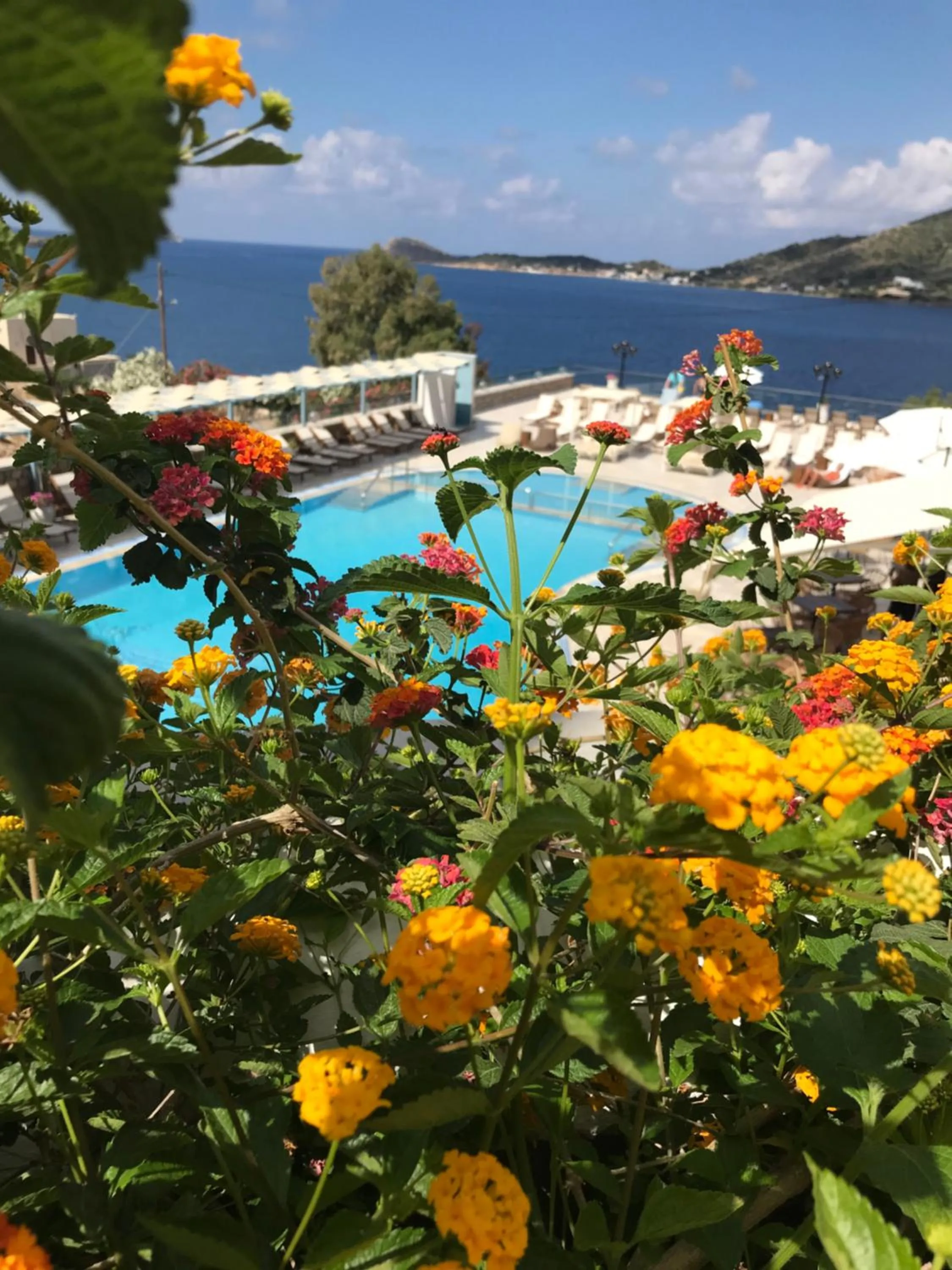 Pool view in Elena Village Hotel & Suites