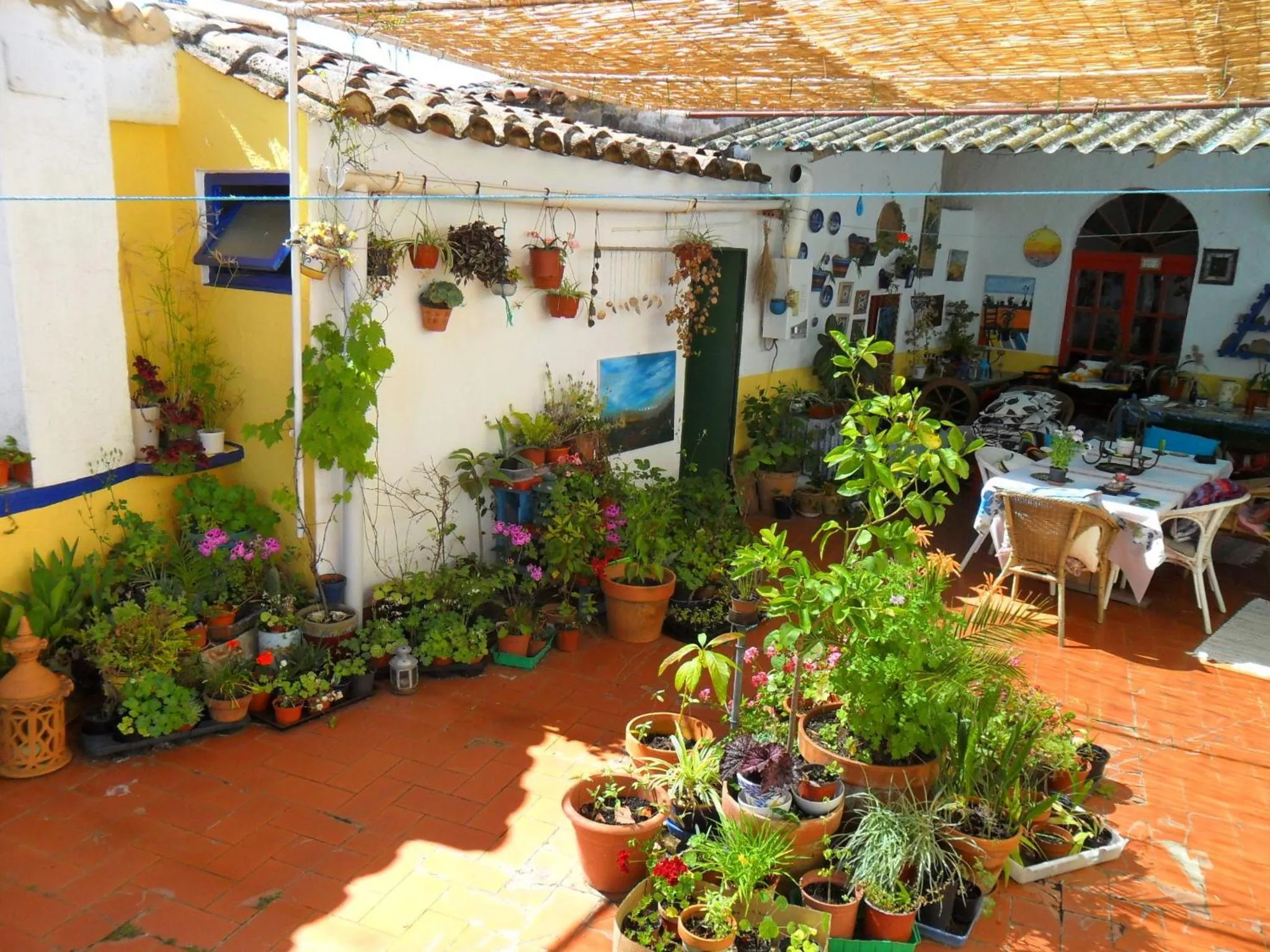 Patio in Casa Annette