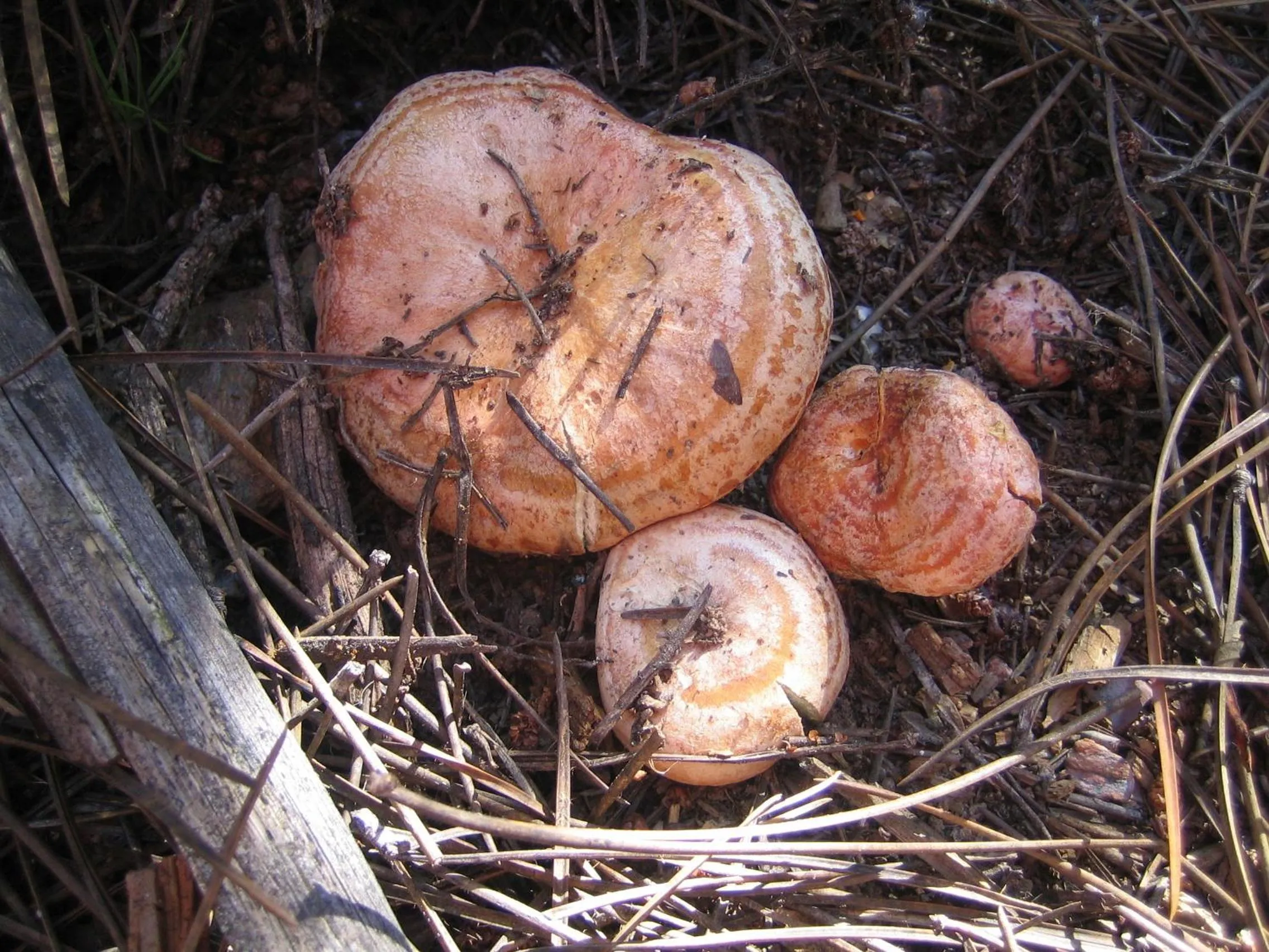 Activities in Casa Annette