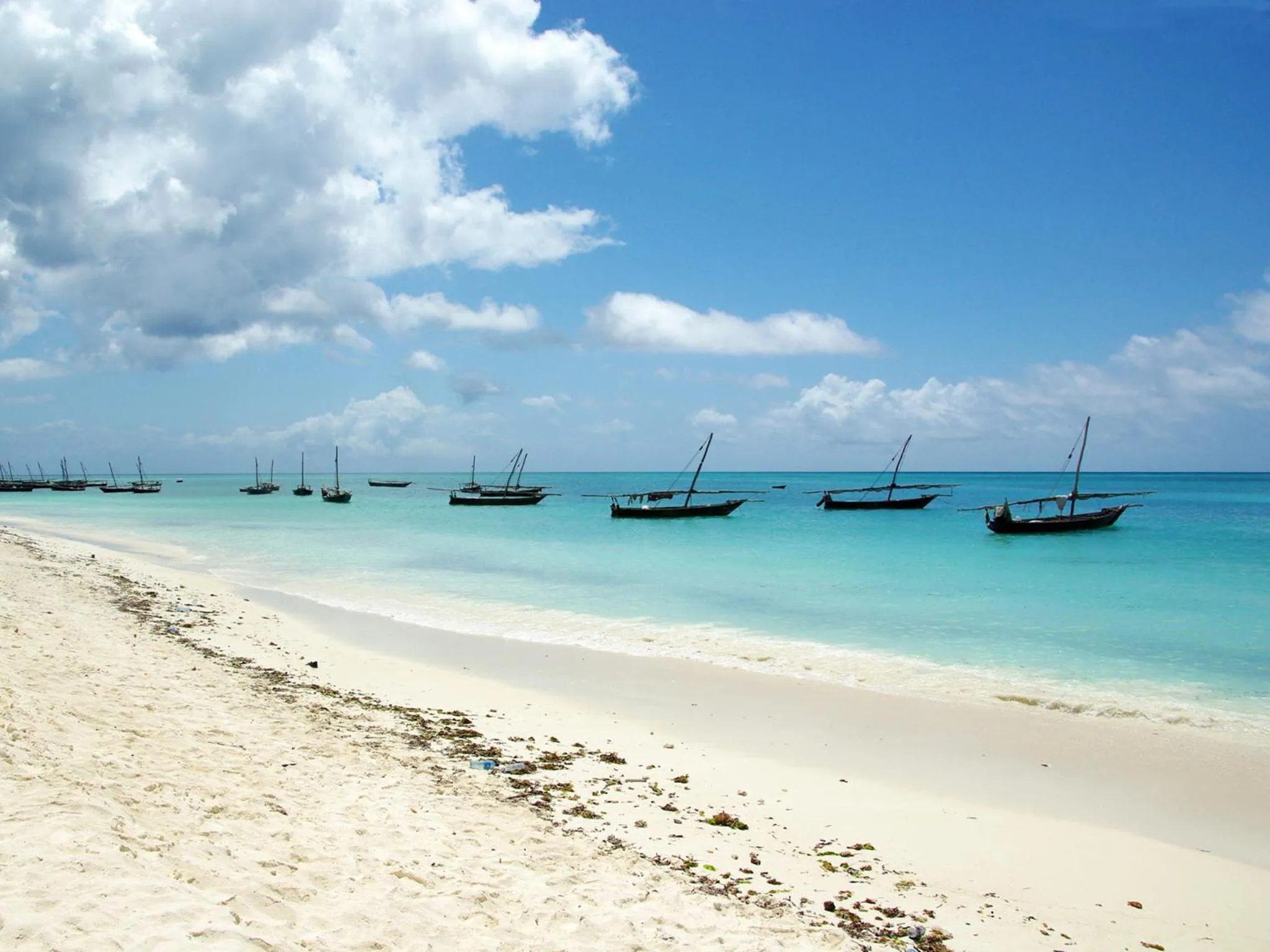 Beach in Pongwe Bay Resort