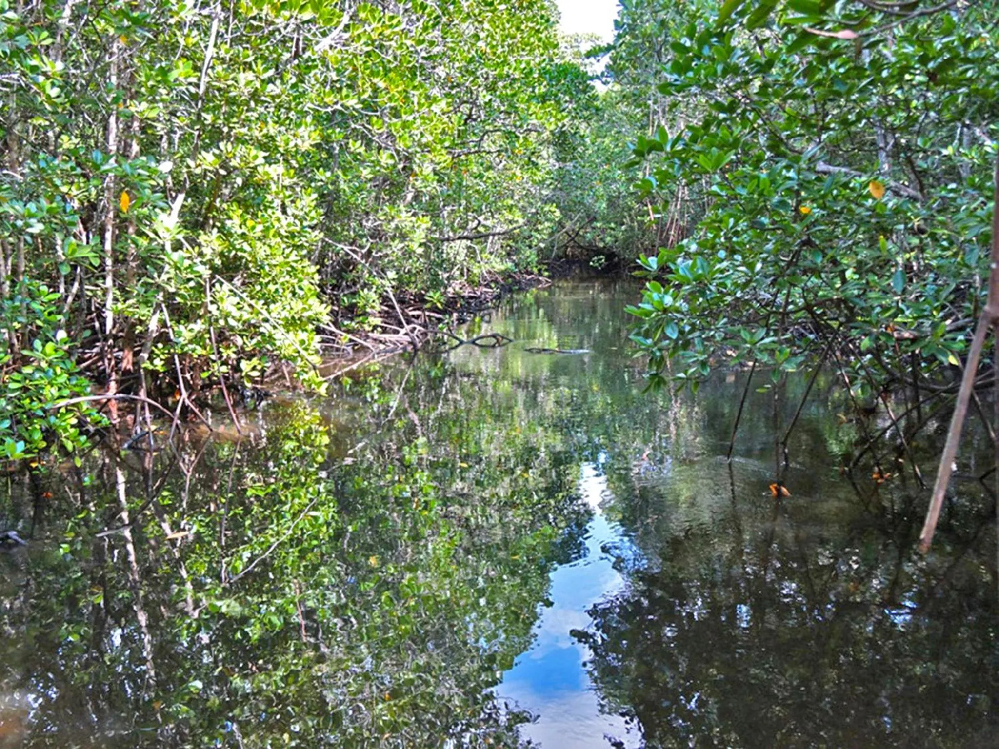 Aqua park in Pongwe Bay Resort