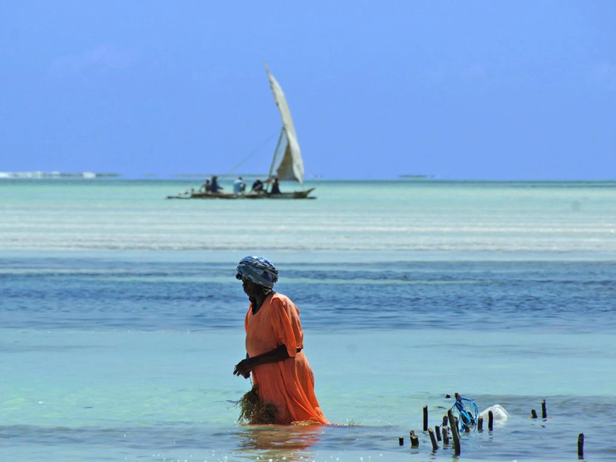 Natural landscape in Pongwe Bay Resort